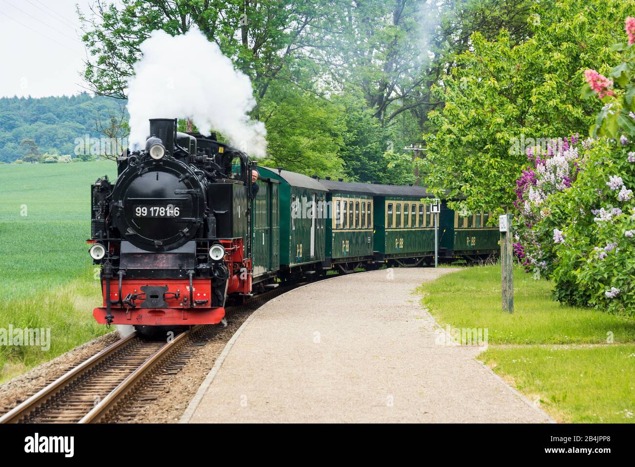 Rügen, Halbinsel Möchgut, Kleinbahn 