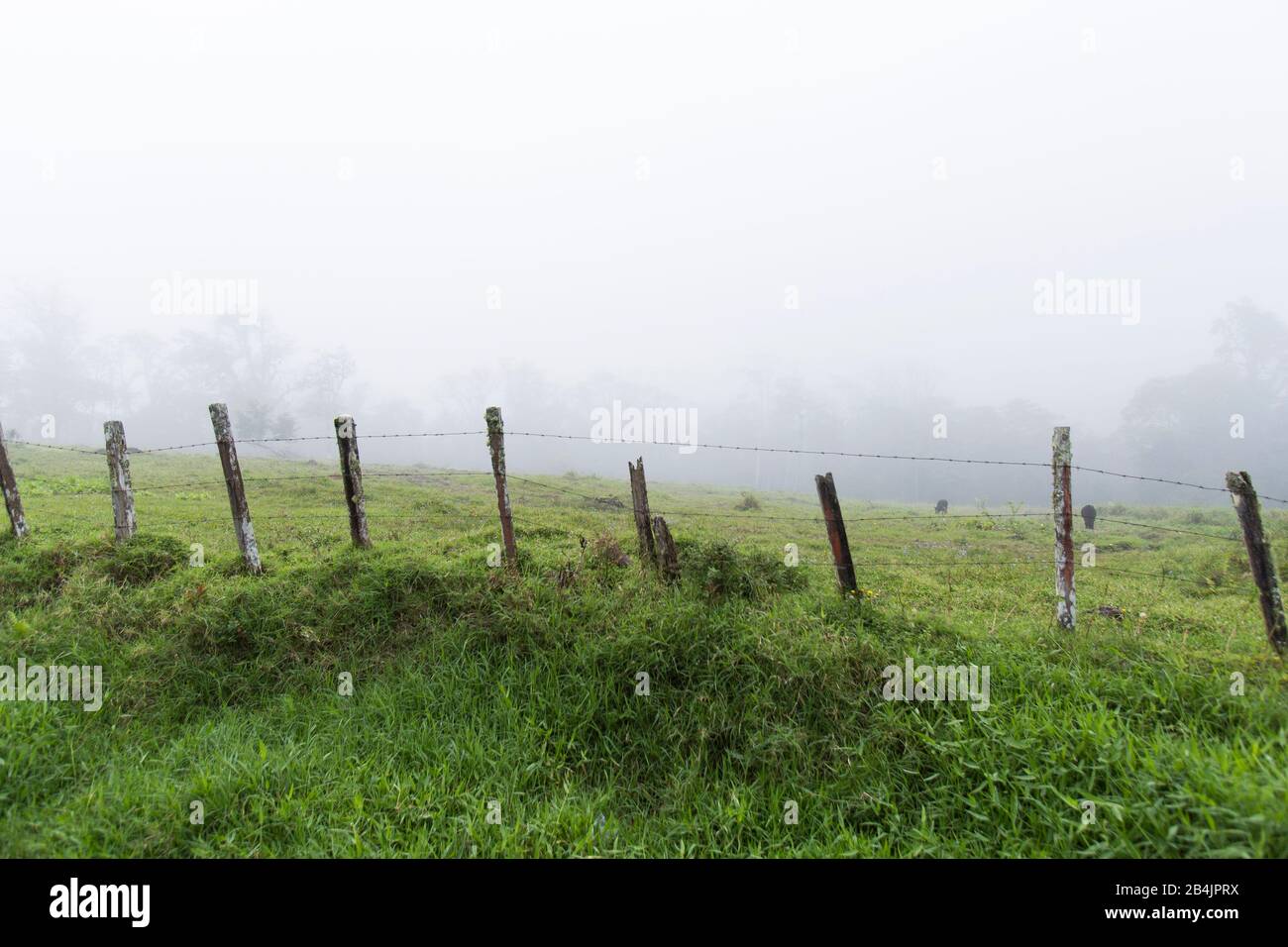 The clouds cover farmland in Costa Rica Stock Photo