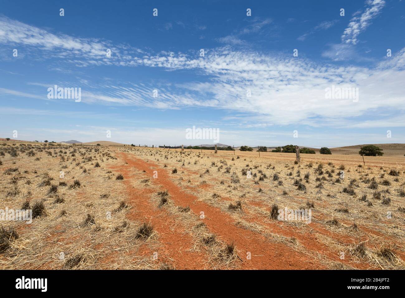 Scenic colourful landscape near Orroroo, South Australia, SA, Australia Stock Photo