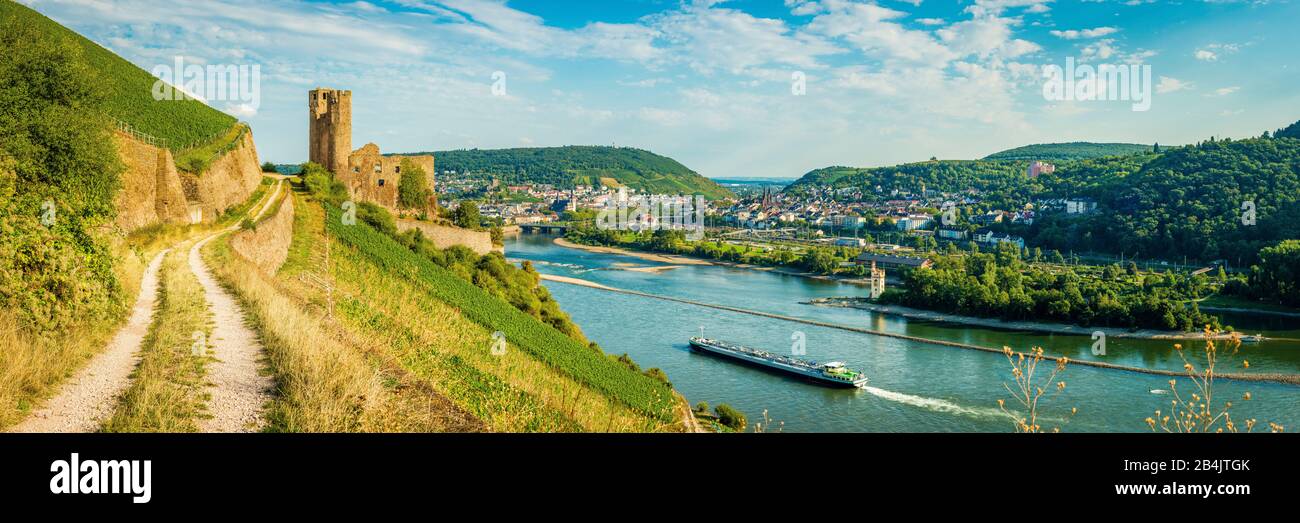 Ehrenfels Castle, a Hangburg, the Mouse Tower, and the Binger Loch, behind Bingen and Bingerbrück, here begins the Middle Rhine Valley, a cargo ship leads upstream, high-resolution panorama with 103 megapixels, beginning of the 'Unesco World Heritage Upper Middle Rhine Valley', Stock Photo