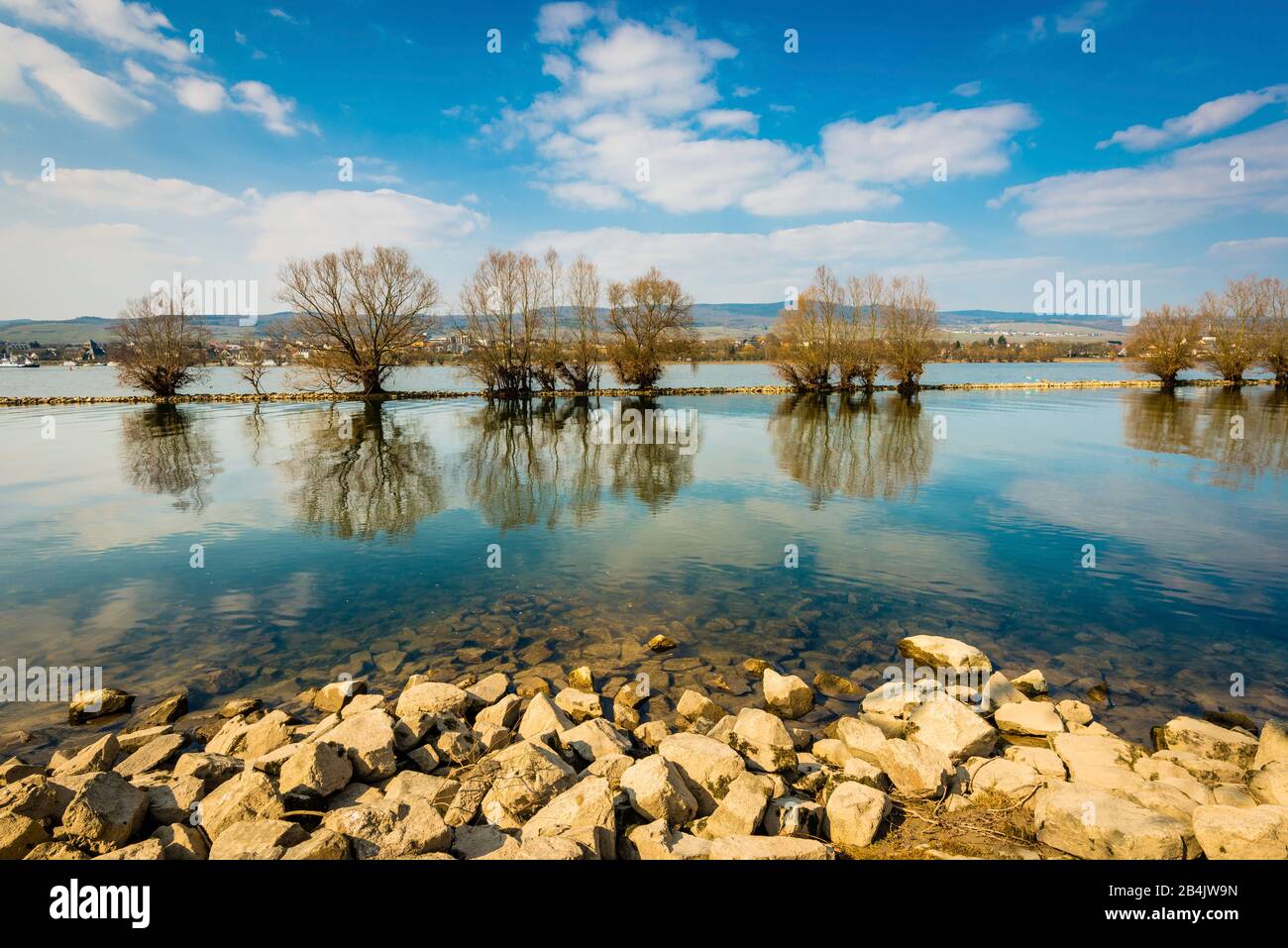 Rhine bank near Ingelheim, Rheinhessen, in winter, stone blocks as shore fortification, Stock Photo