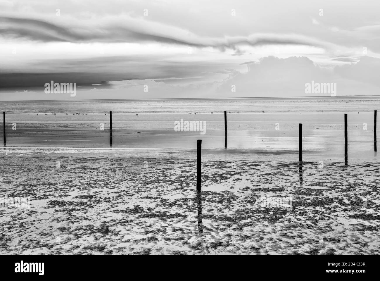 Wattenmeer, Abend, Dämmerung, blaue Stunde, Norddeich, Norden, Nordsee, Ostfriesland, Niedersachsen, Deutschland, Stock Photo