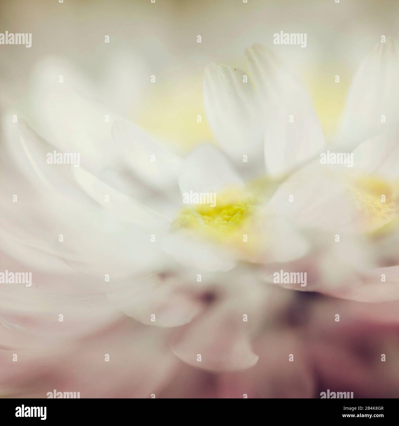 Multiple exposure hi-res stock photography and images - Alamy