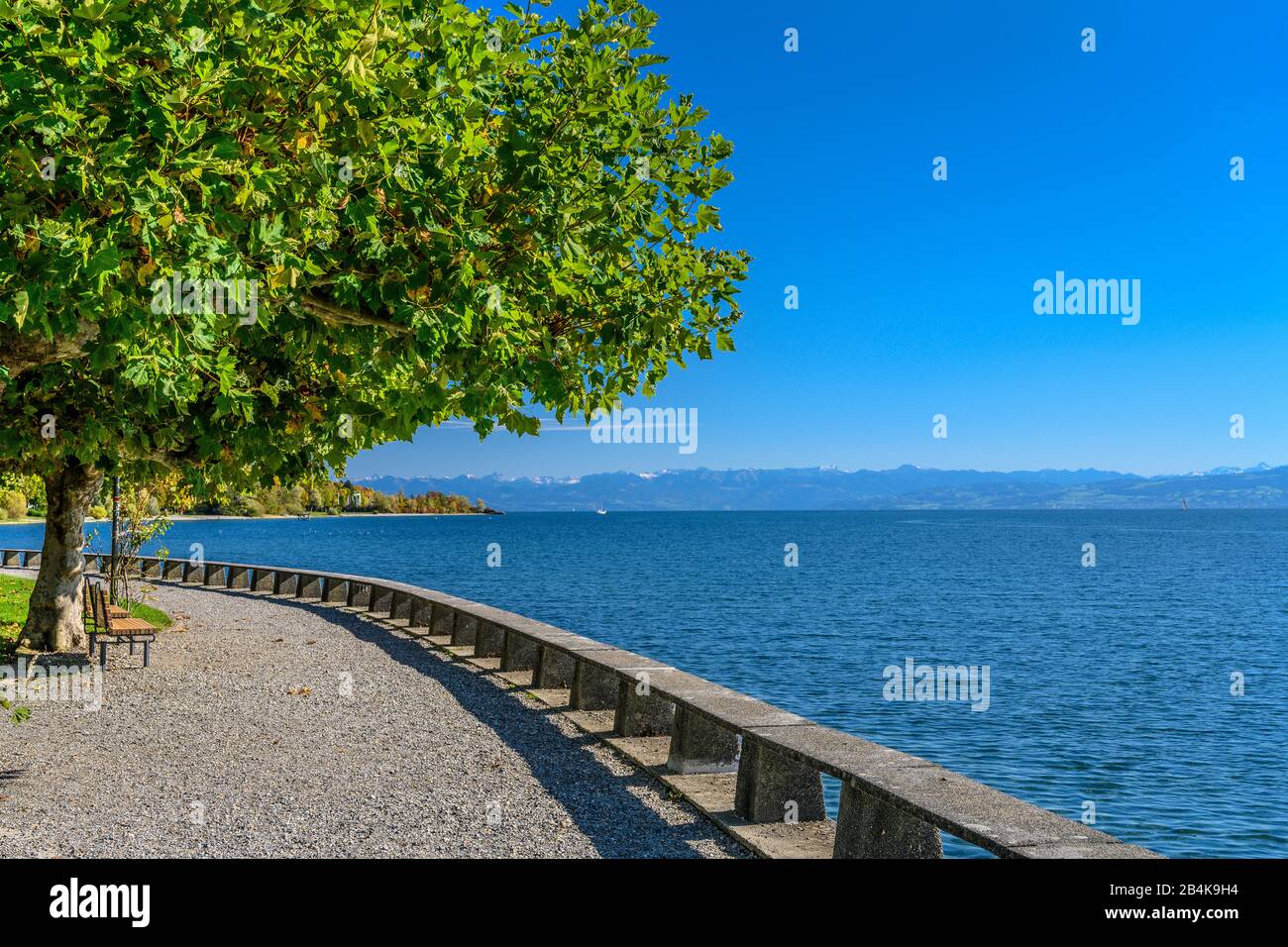 Deutschland, Baden-Württemberg, Bodensee, Hagnau am Bodensee, Uferpromenade Stock Photo