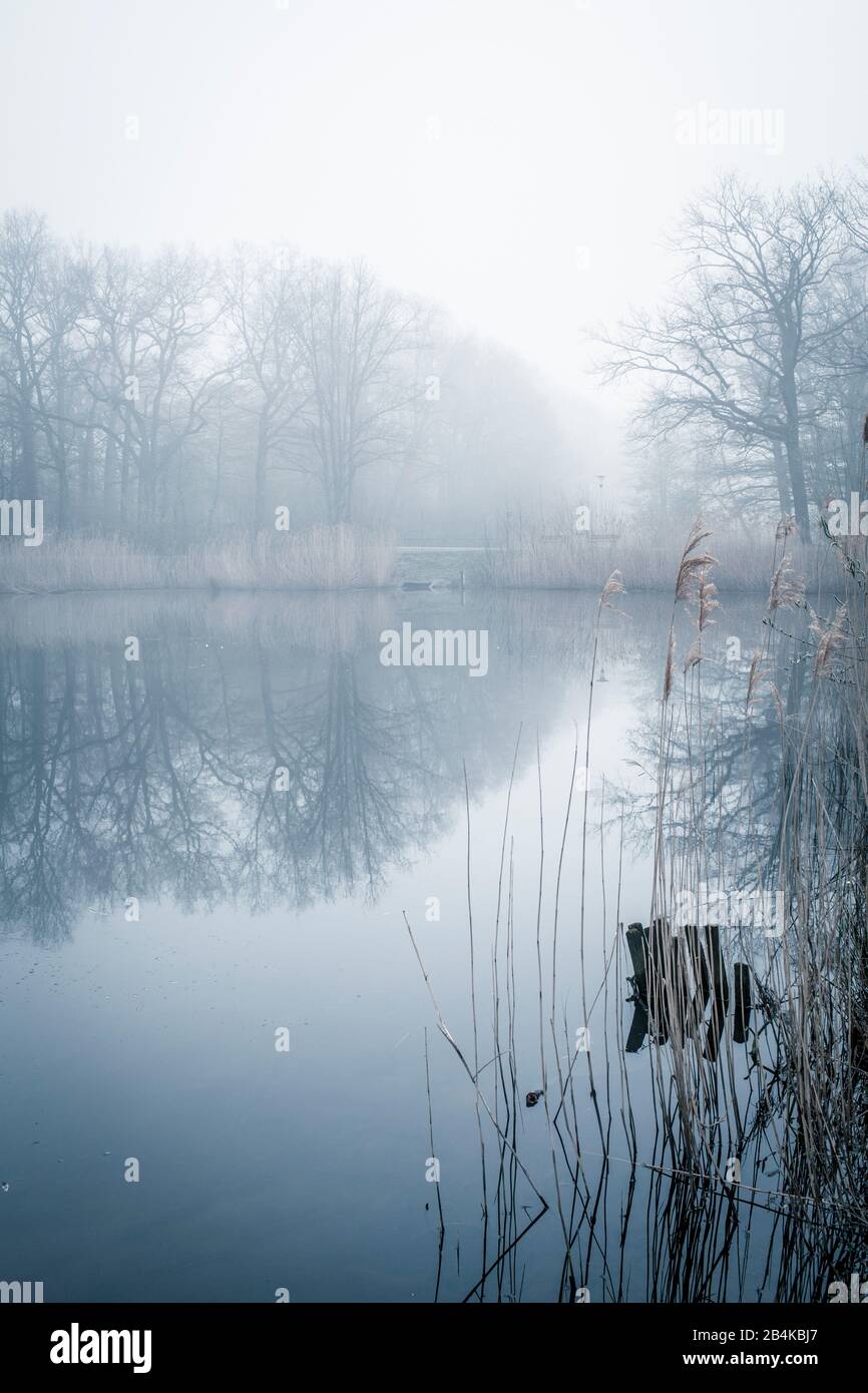 Early Spring Fog Spring morning hi-res stock photography and images - Alamy