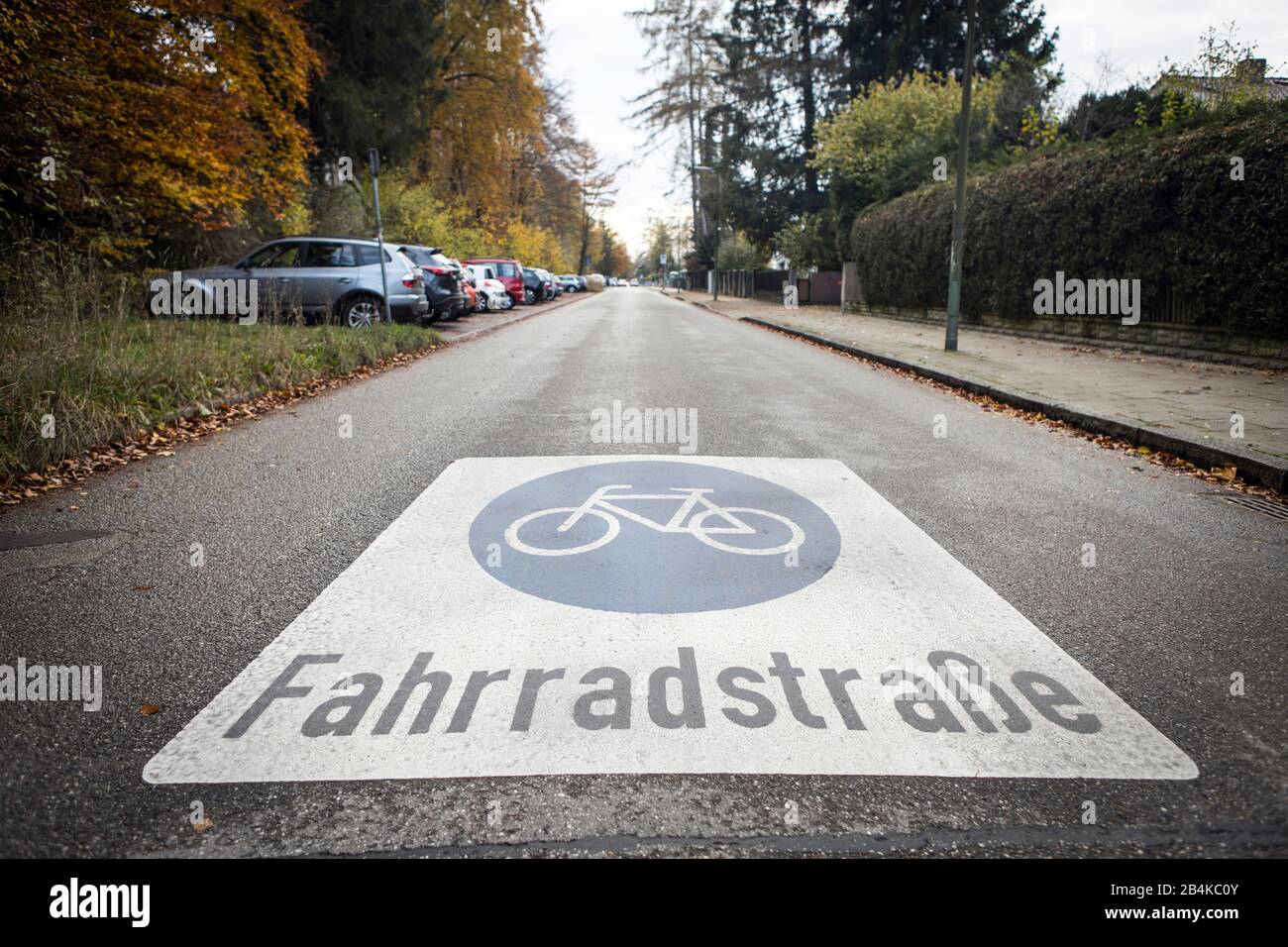 Bicycle Road In Munich Stock Photo Alamy bicycle-road-in-munich-stock-photo-alamy