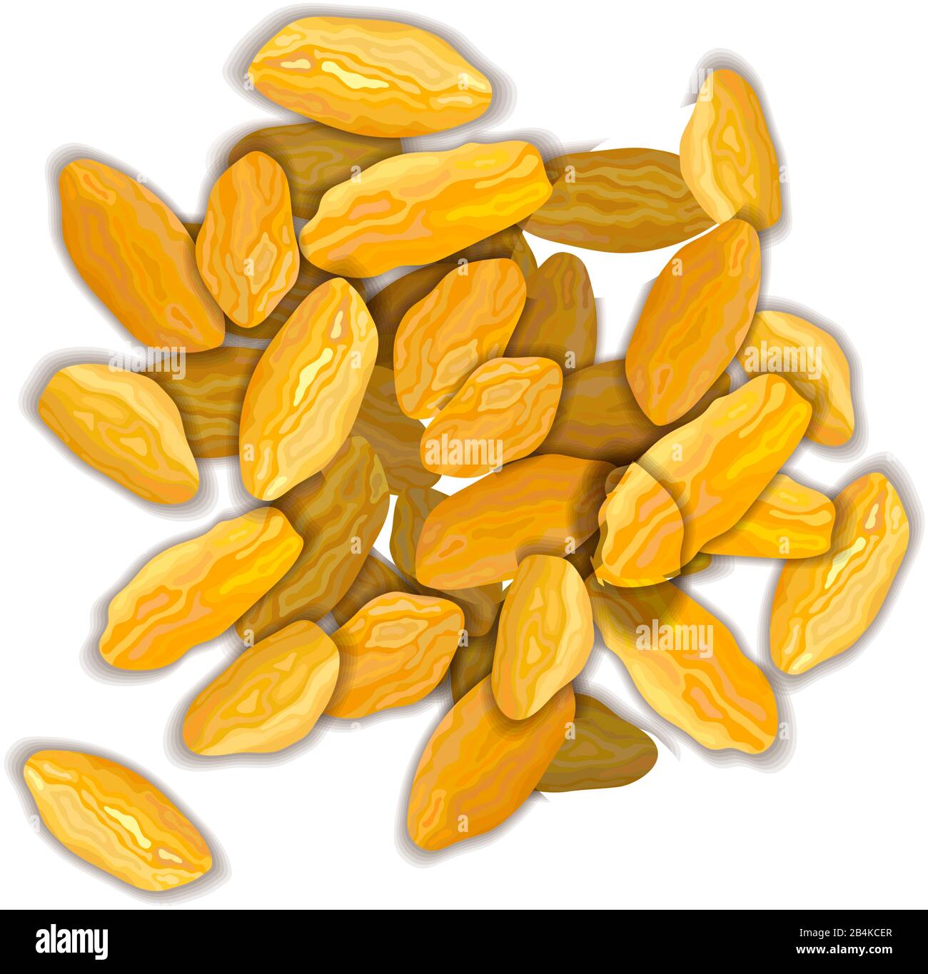 Dried dark raisins on a white background vector illustration Stock Vector