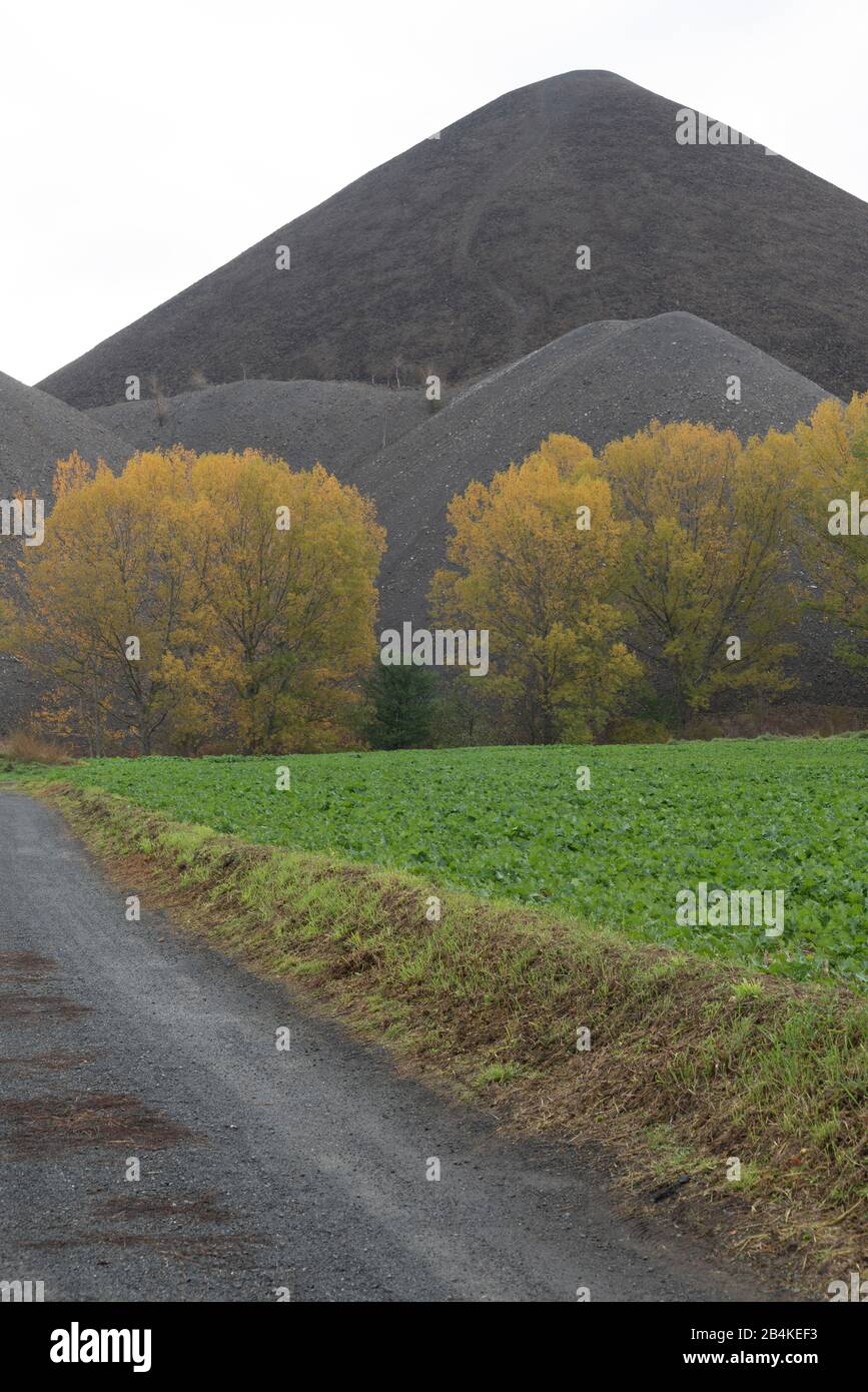 Germany, Saxony-Anhalt, Volkstedt, View of the heap Progress, former wolf shaft, copper shale, mining, Mansfelder Land. Stock Photo