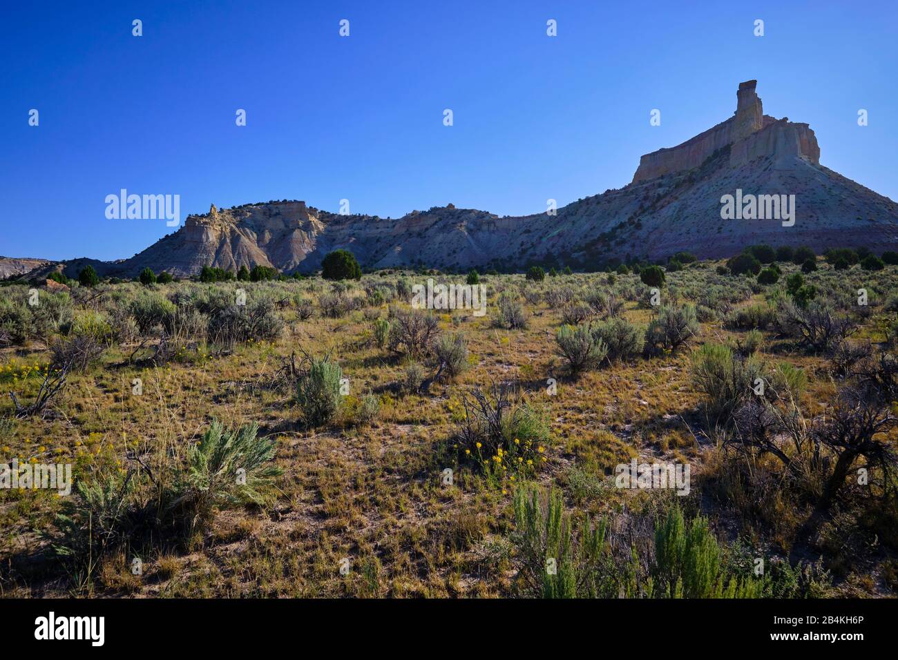 USA, United States of America, Red Canyon, Dixie National Forest, Bryce Canyon, Utah, Southwest USA, Utah State Route 12, Scenic Byway,Escalante, Capitol Reef National Park, Stock Photo
