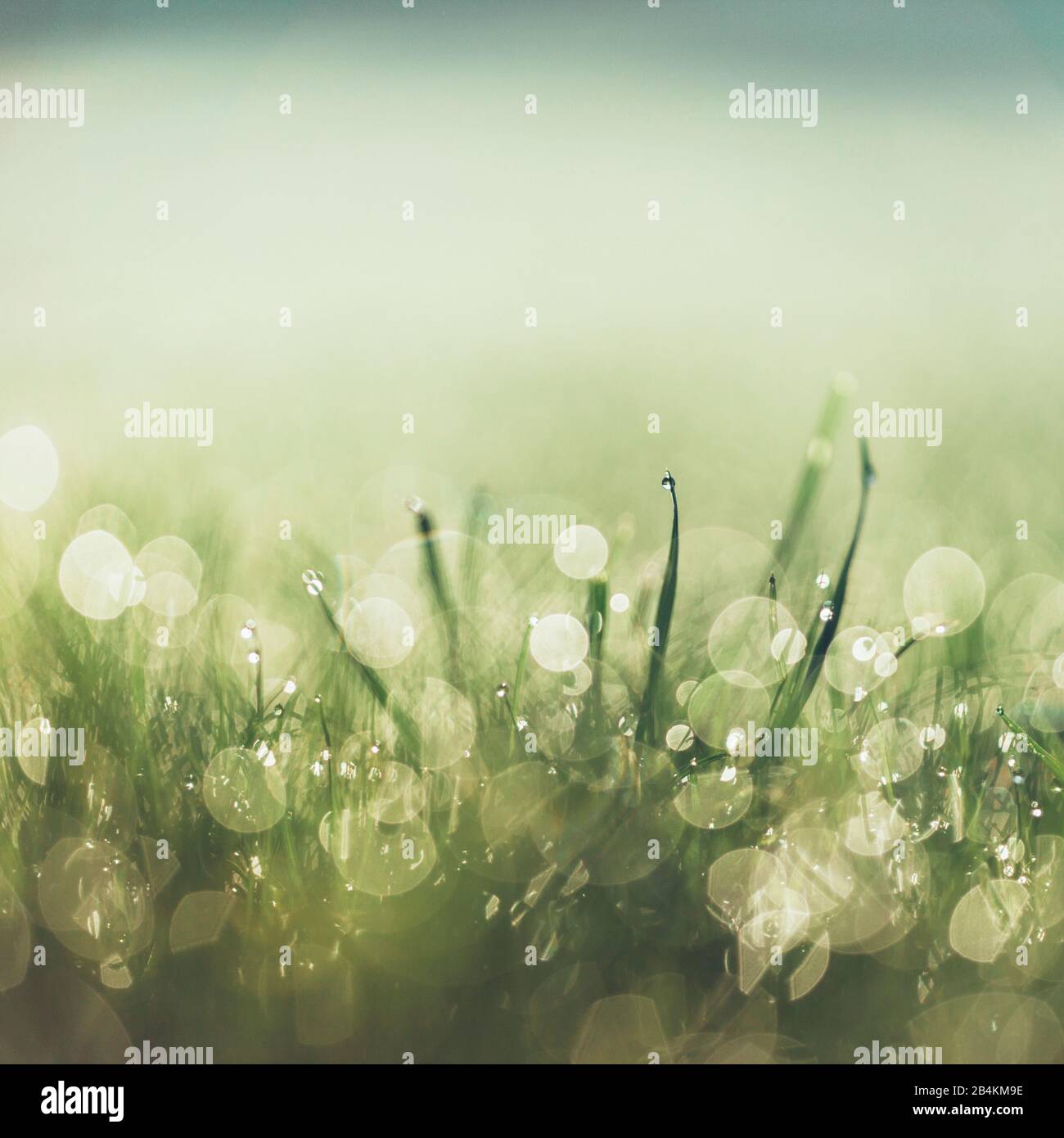 Extreme close up details hi-res stock photography and images - Alamy