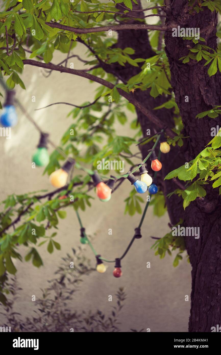 Fairy lights on a tree Stock Photo Alamy