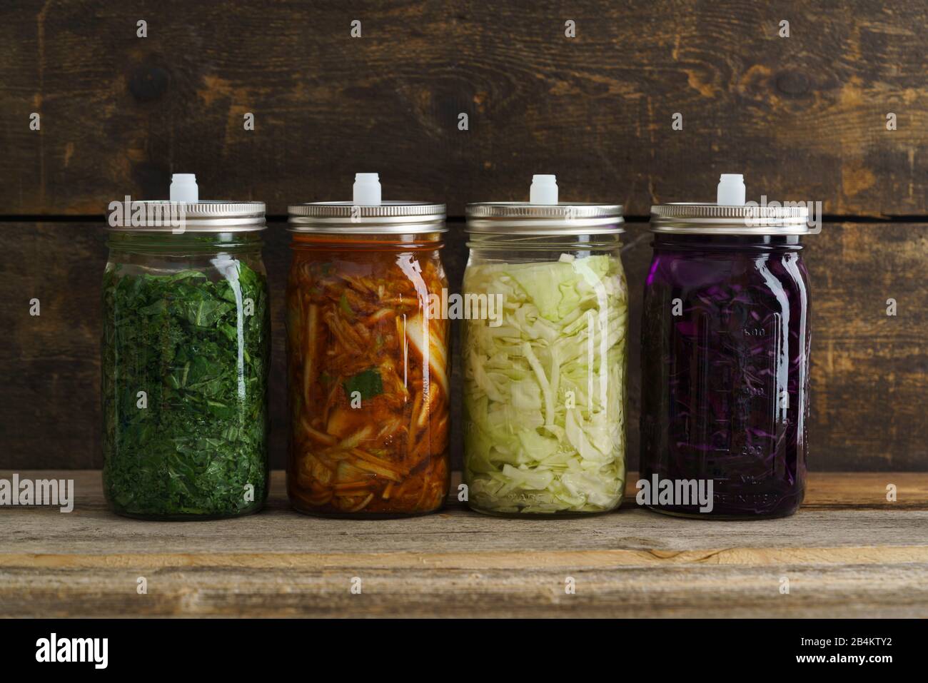 White cabbage, kimchi, red cabbage and kale fermented, pickled in