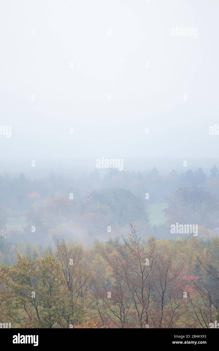Europe, Denmark, Bornholm. View from the height above the Ekkodalen to the fog-covered South Bornholm. Stock Photo