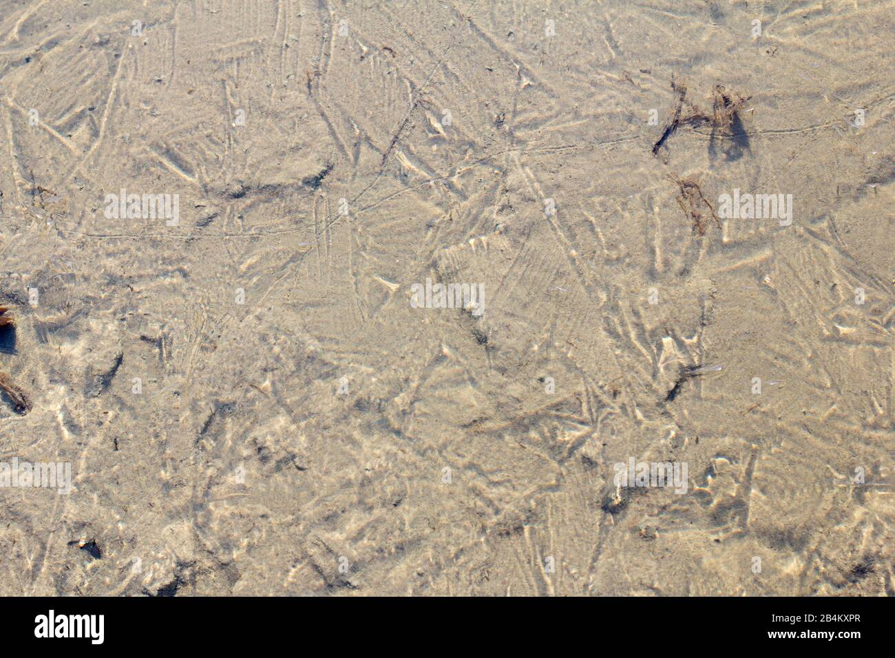 Frozen water surface Stock Photo