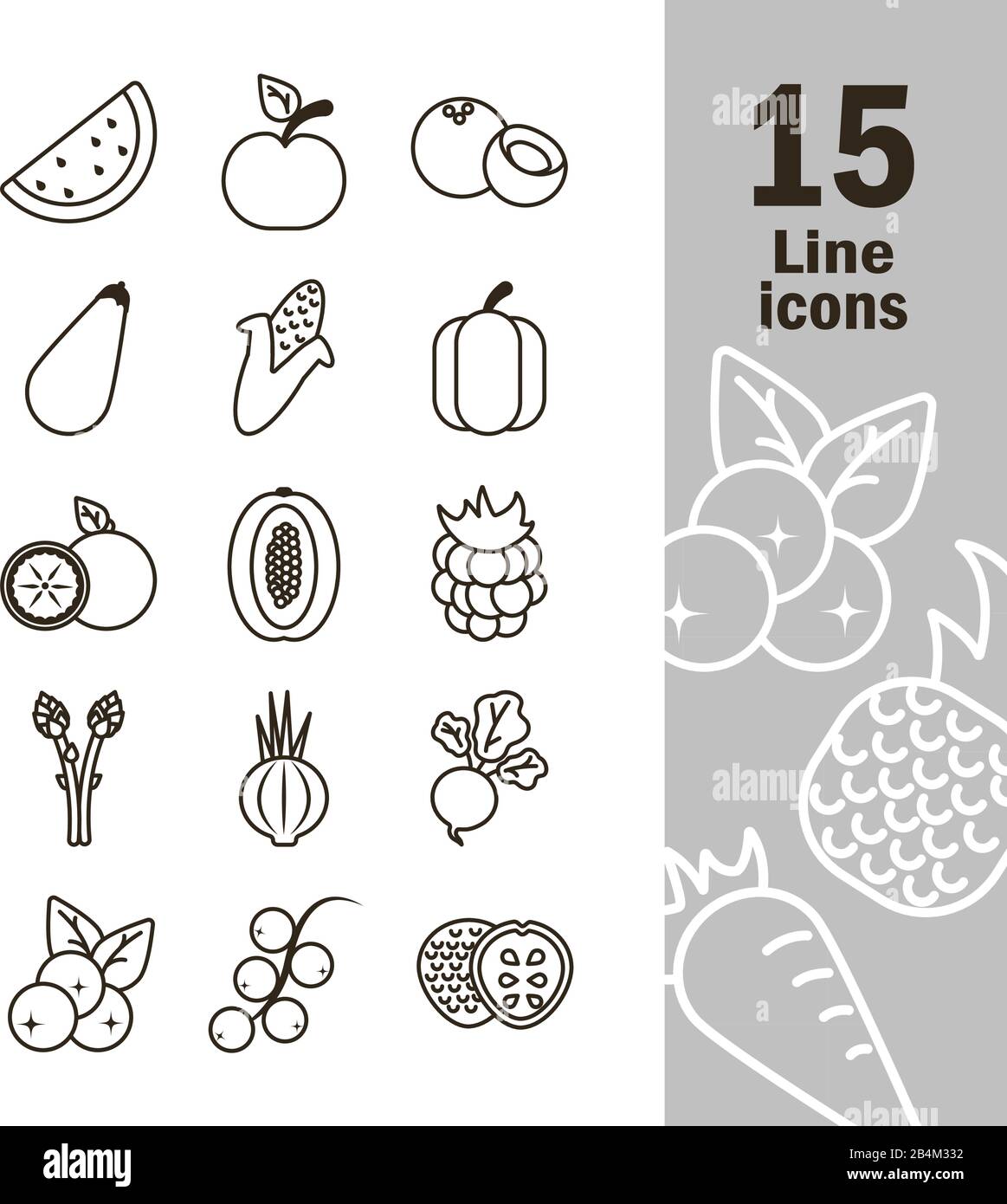 set of icons of fresh fruits and vegetables, line style icon vector ...