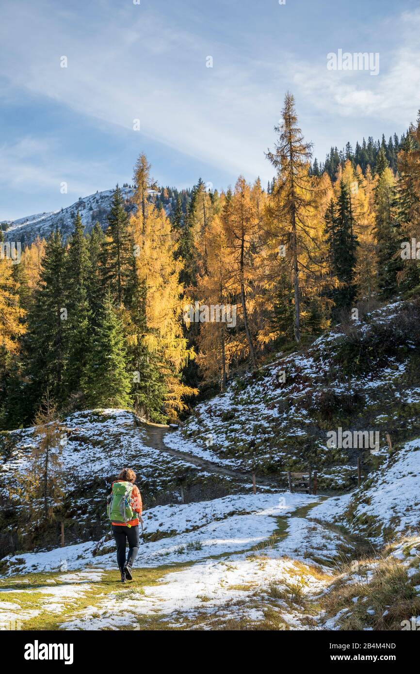 Herbstwanderung nach erstem Schneefall zum Schneeberg in den Dientener Bergen, Salzburg, Österreich, November 2019 Stock Photo
