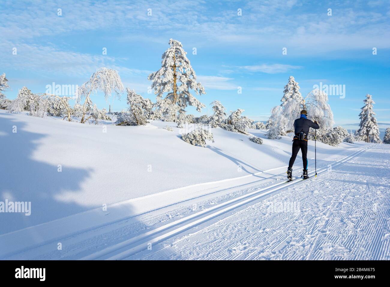 Germany, Baden-Württemberg, Black Forest, winter in the national park. Stock Photo