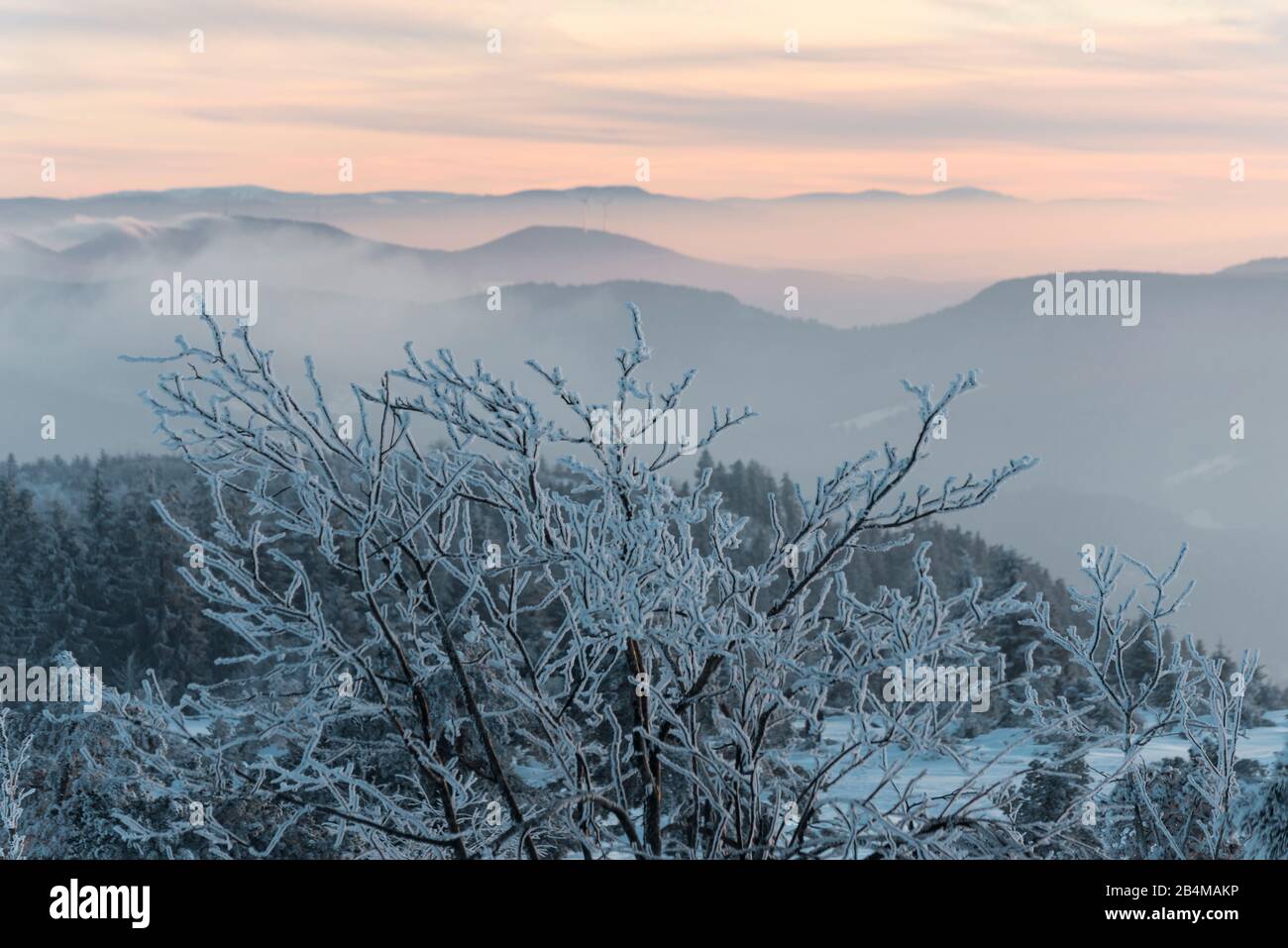 Germany, BadenWuerttemberg, Black Forest National Park, Black Forest High Road, Schliffkopf