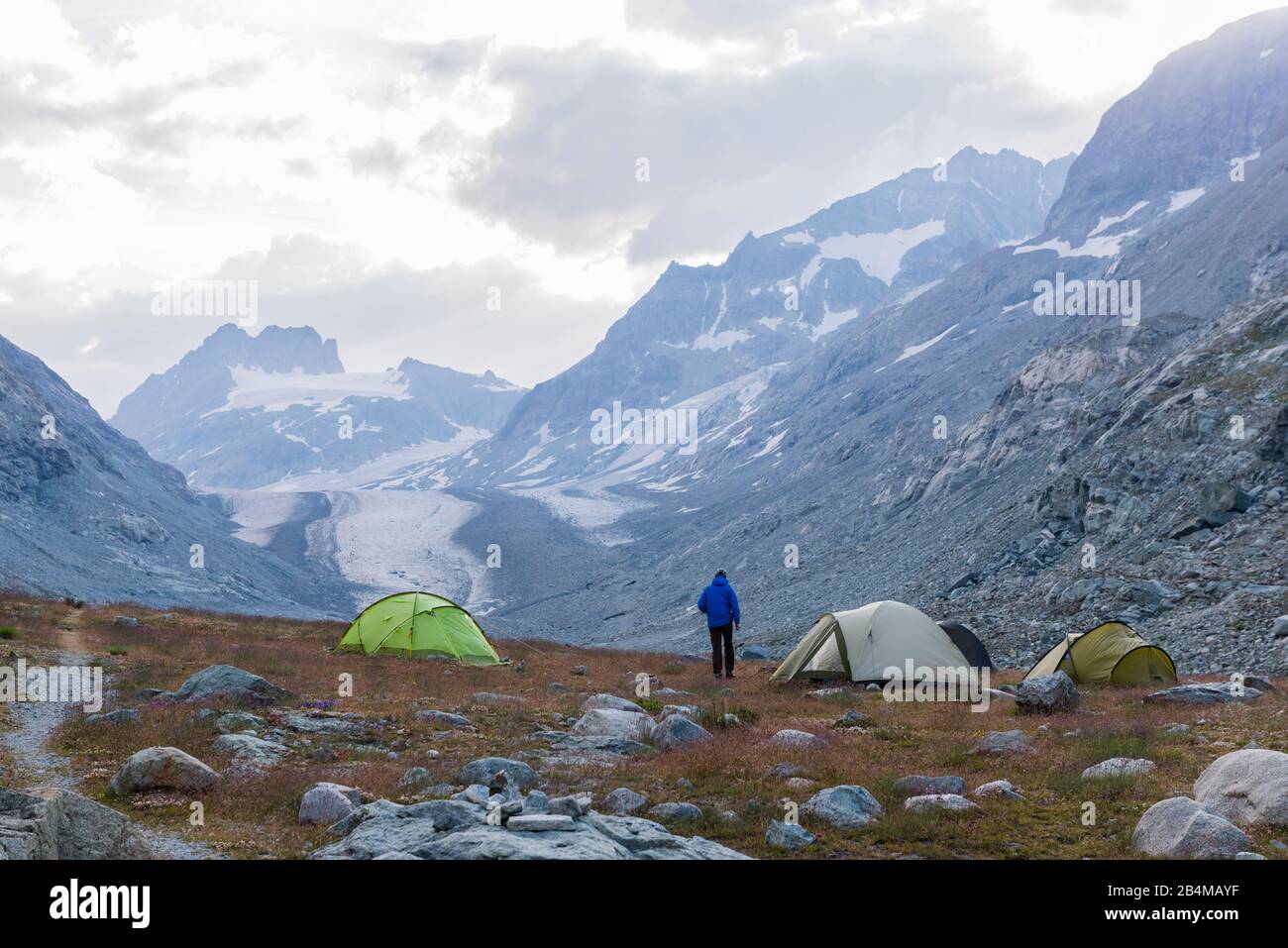 Schweiz, Wallis, Haute Route Chamonix Zermatt, Mann und vier Zelte als Biwak beim Glacier d'Otemma in der Morgendämmerung Stock Photo