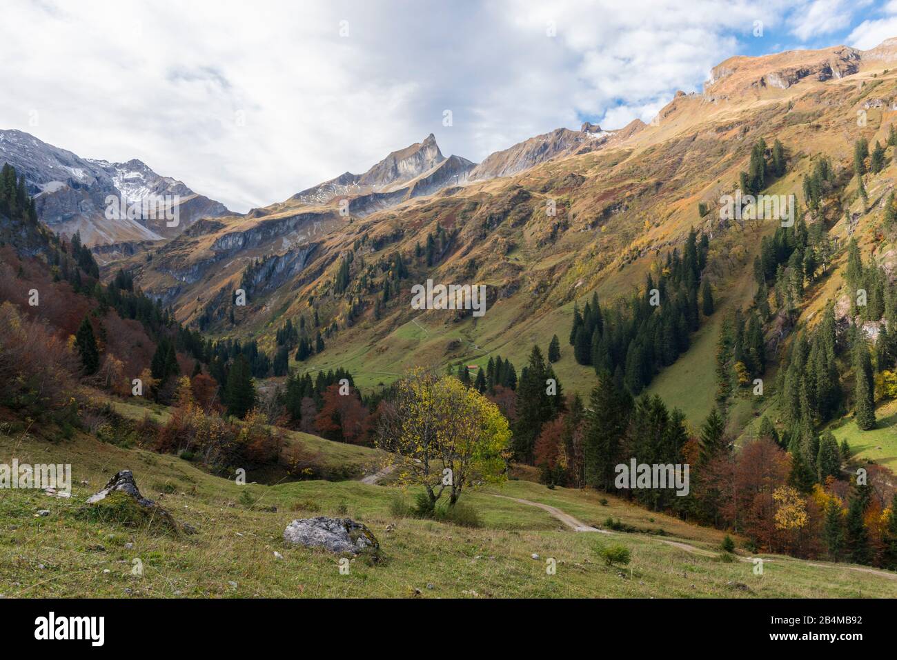 Deutschland, Bayern, Allgäu, Bad Hindelang, Herbstfärbung im Hintersteiner Tal mit Blick auf Schneck Stock Photo