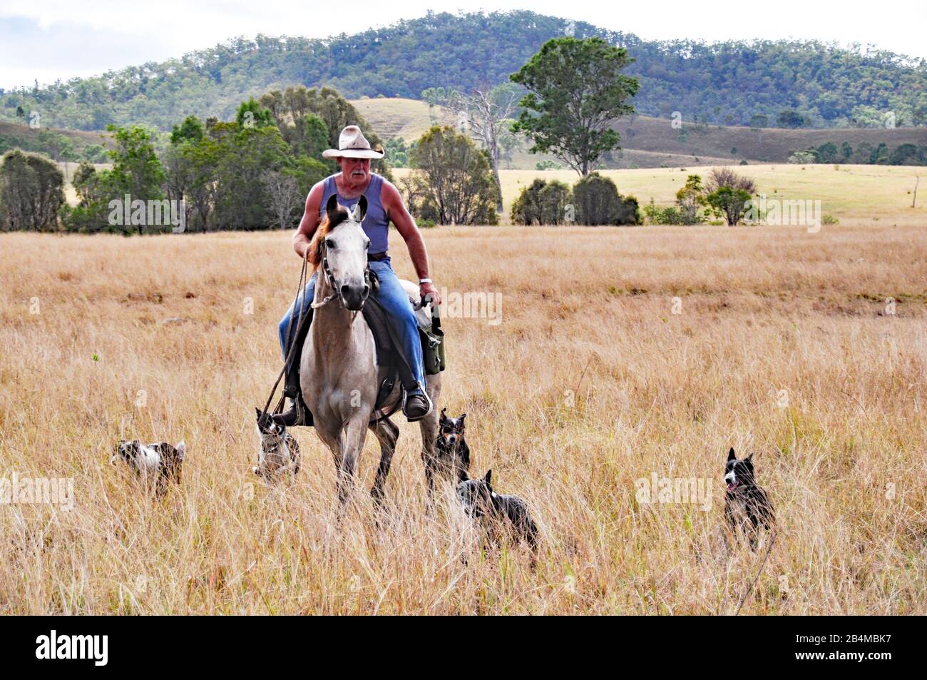 Australian cattle station hires stock photography and images Alamy