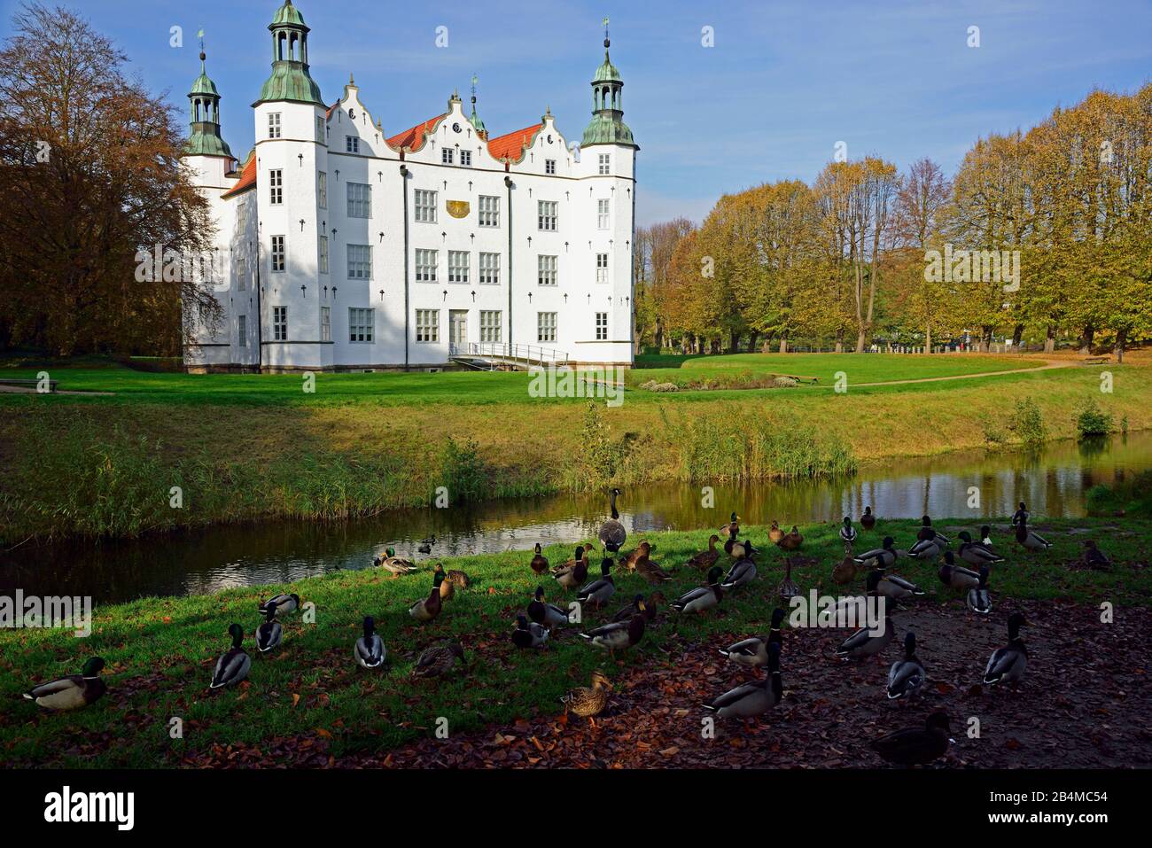 Europe, Germany, Schleswig-Holstein, Ahrensburg, Ahrensburg moated castle, autumn, front facade, built around 1595, late Renaissance, water birds in the foreground, Stock Photo