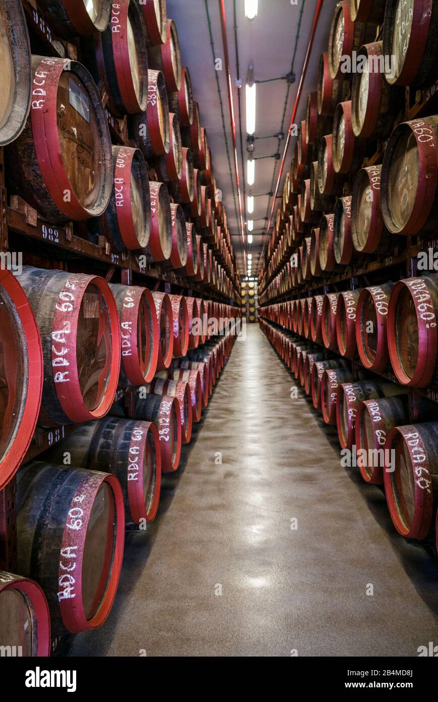 Spain, Canary Islands, Gran Canaria Island, Arucas, Destilerias