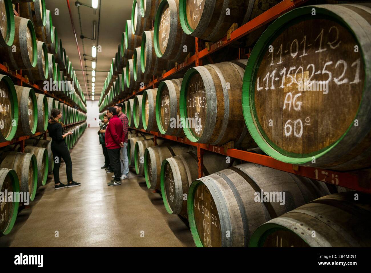 Spain, Canary Islands, Gran Canaria Island, Arucas, Destilerias