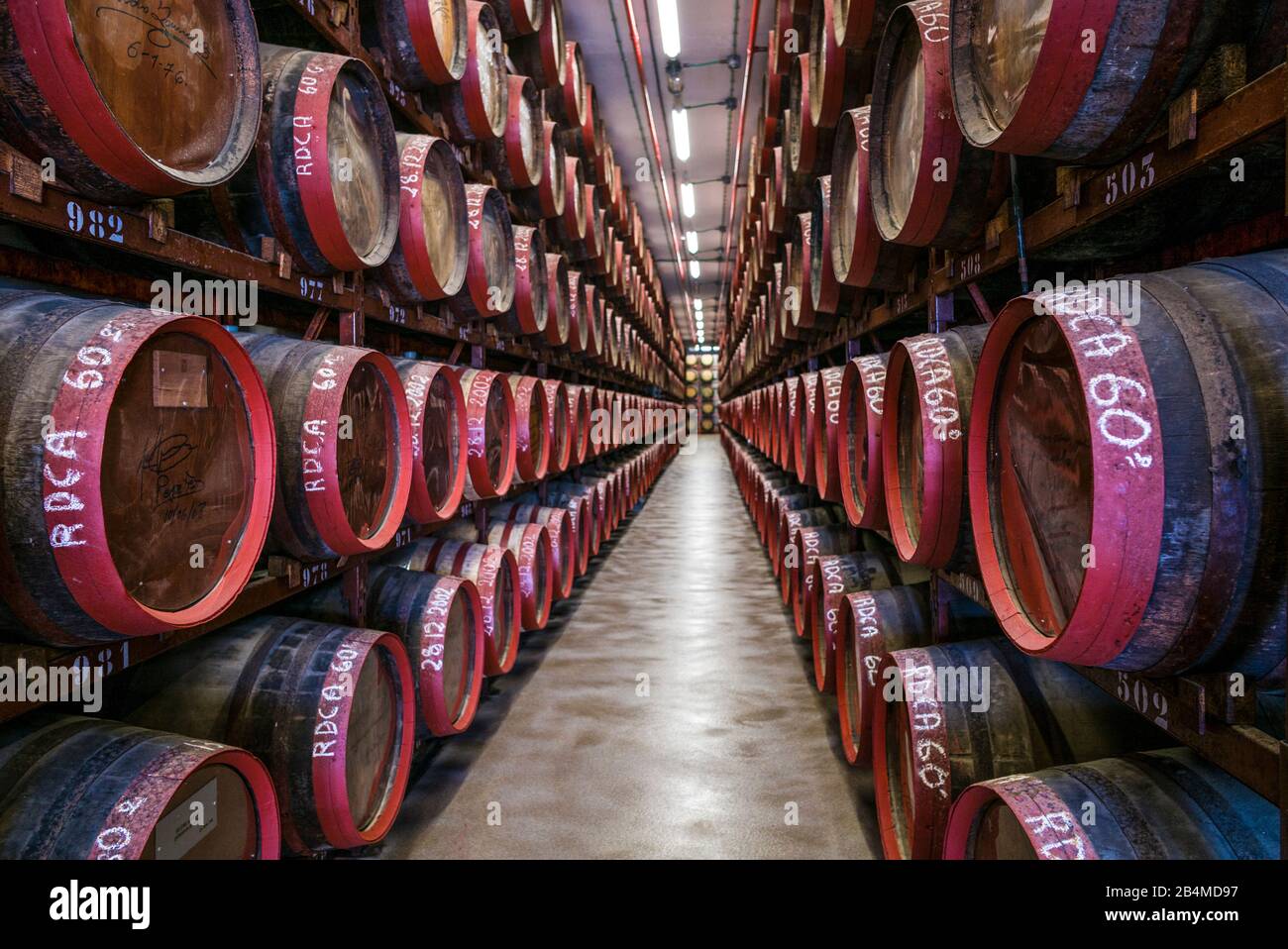 Arucas rum hires stock photography and images Alamy