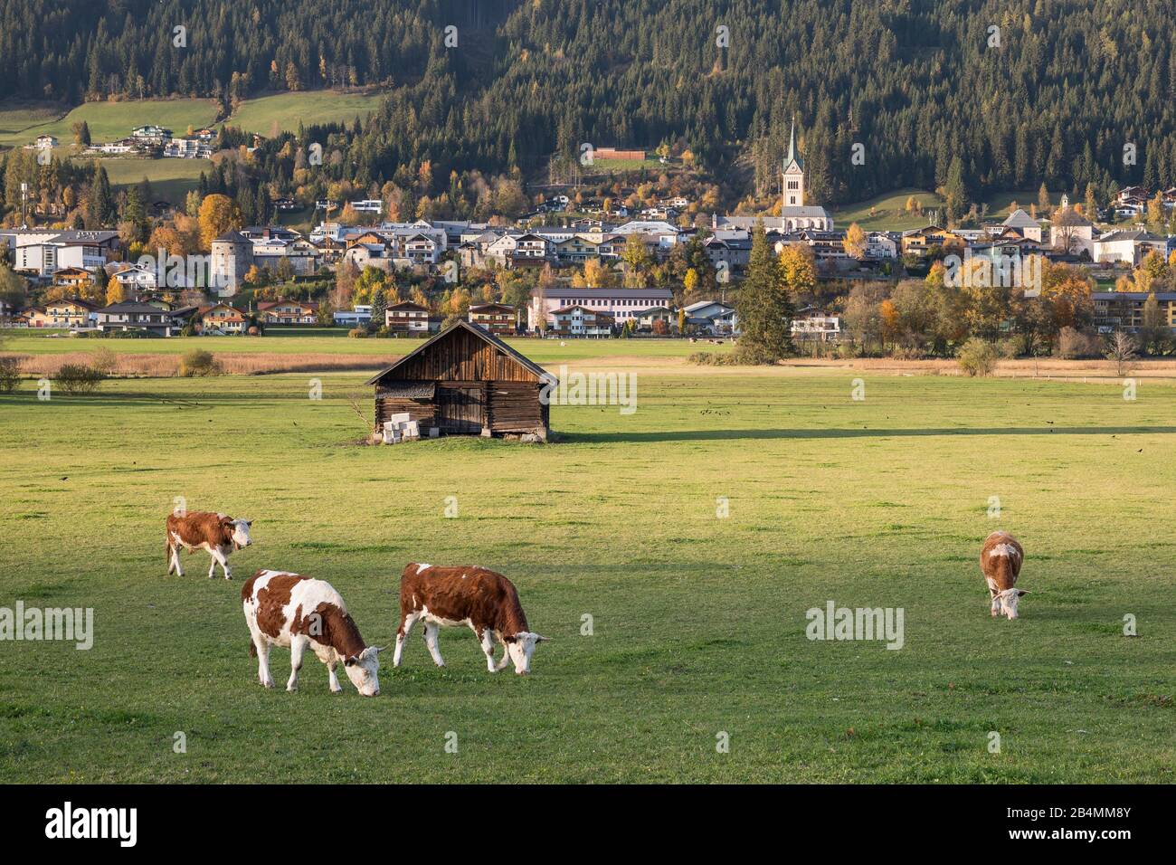 Blick über eine Weide im Ennstal nach Radstadt, Pongau, Land Salzburg, Österreich, Oktober 2019 Stock Photo