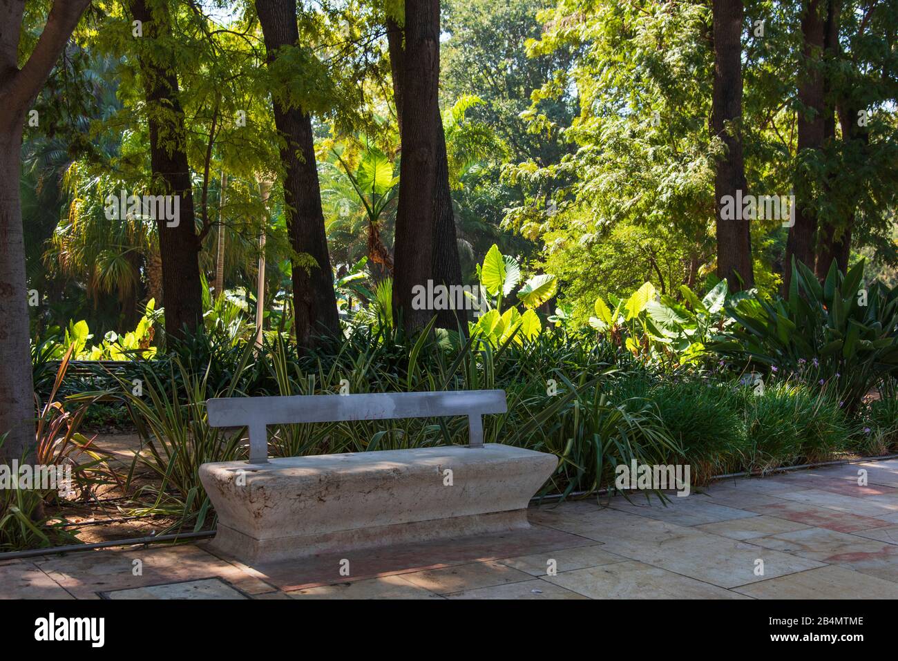 One day in Malaga; Impressions from this city in Andalusia, Spain. The gardens 'jardines de Pedro Luis Alonso'. An inviting concrete bench. Stock Photo