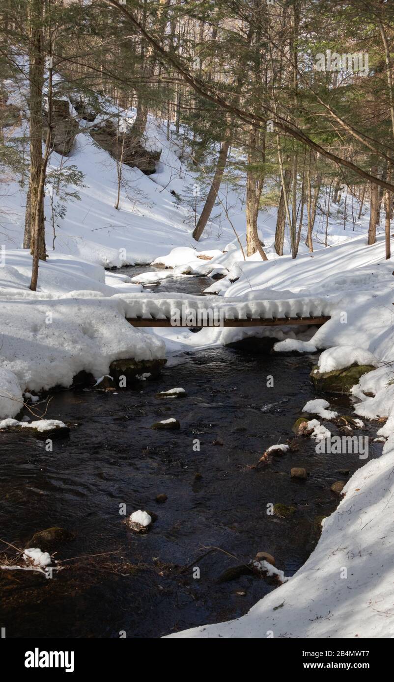 River flowing through forest snow hi-res stock photography and images ...