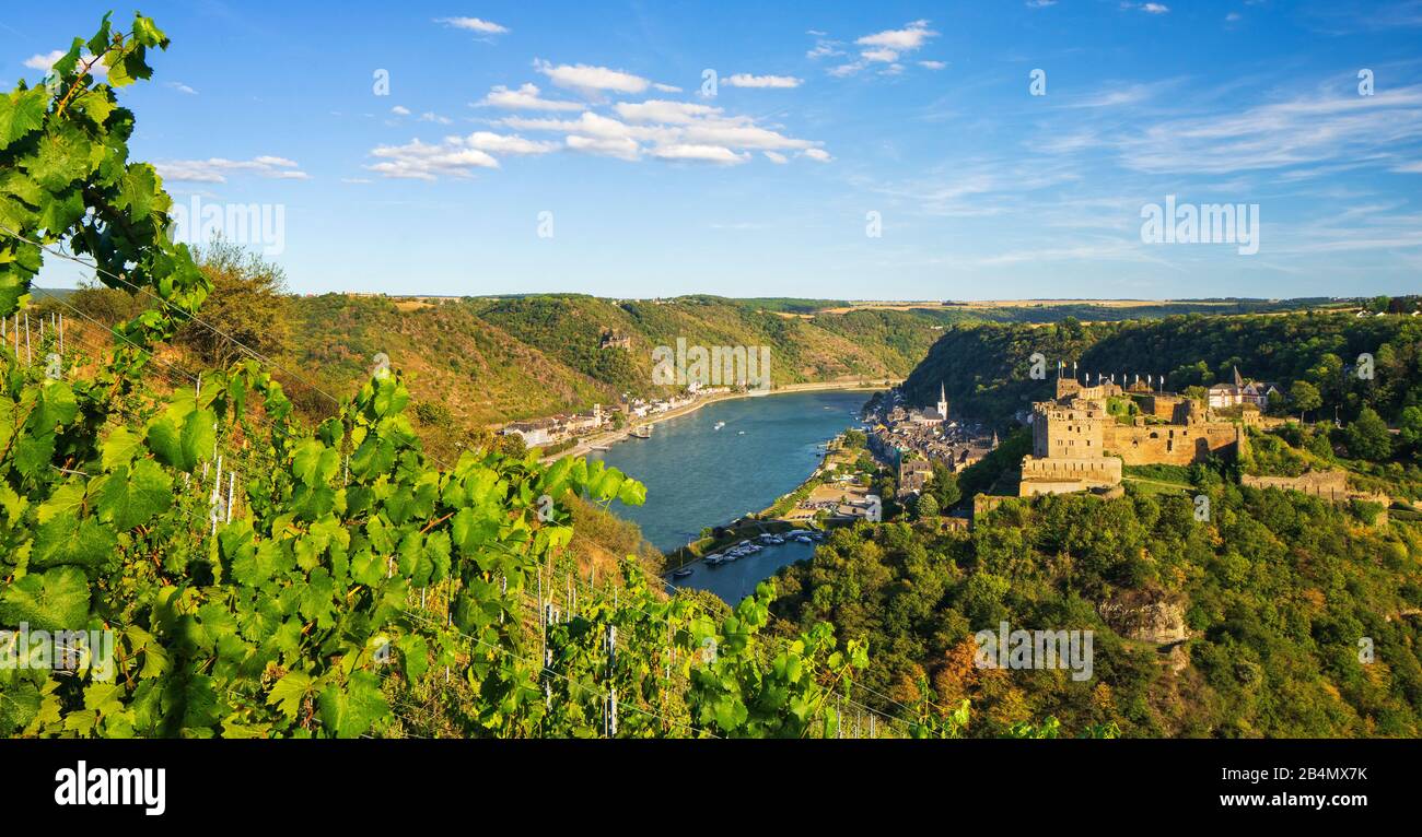 Germany, Rhineland-Palatinate, St. Goarshausen, world heritage cultural landscape Upper Middle Rhine Valley, view over vineyard on St. Goar on the Rhine with Rheinfels Castle, in the back Burg Katz, Stock Photo