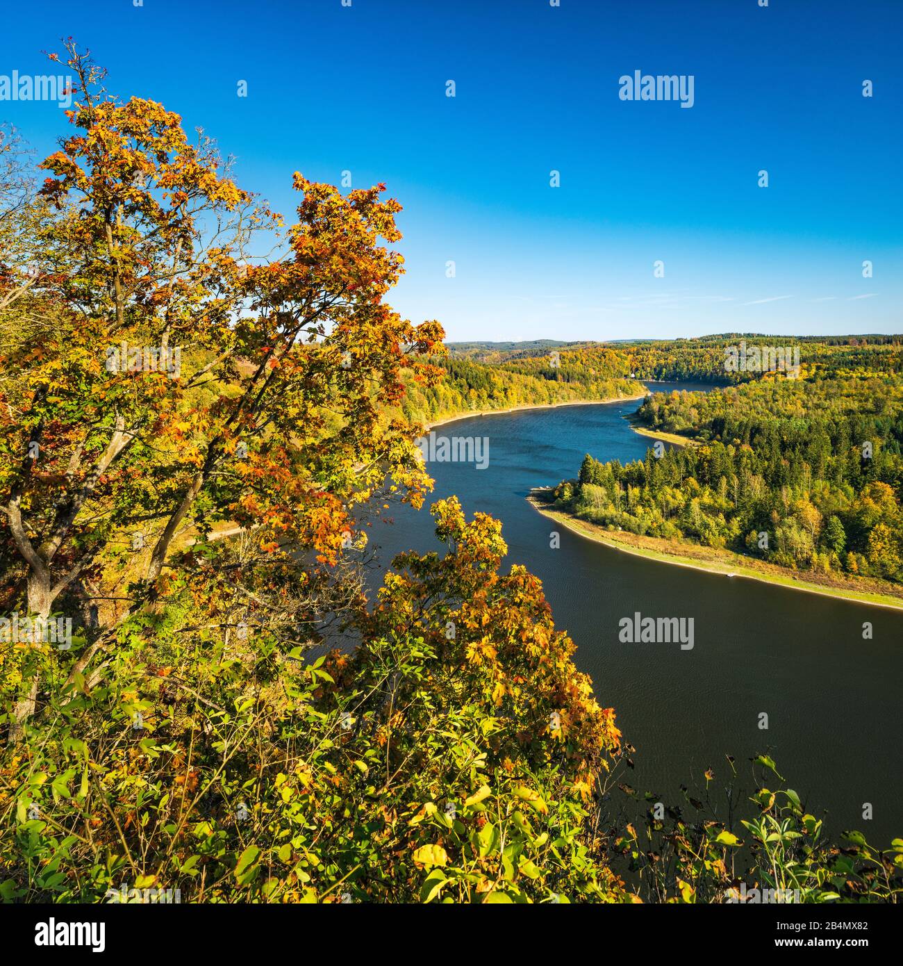 Deutschland, Thüringen, Obere Saale, Naturpark Thüringer Schiefergebirge, Ausblick auf die Bleilochtalsperre im Herbst Stock Photo