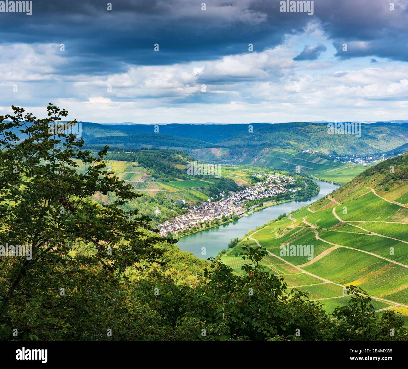 Germany, Rhineland-Palatinate, Zell (Mosel), view of the Moselle valley to the wine town of Briedel and vineyards Stock Photo