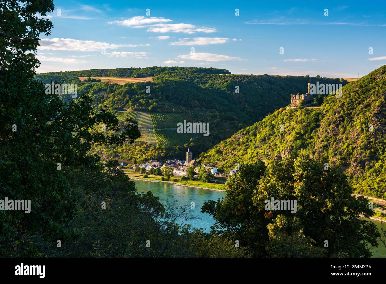 Germany, Rhineland-Palatinate, St. Goarshausen, World Heritage cultural landscape Upper Middle Rhine Valley, view over the Rhine to Wellmich with Maus Castle Stock Photo