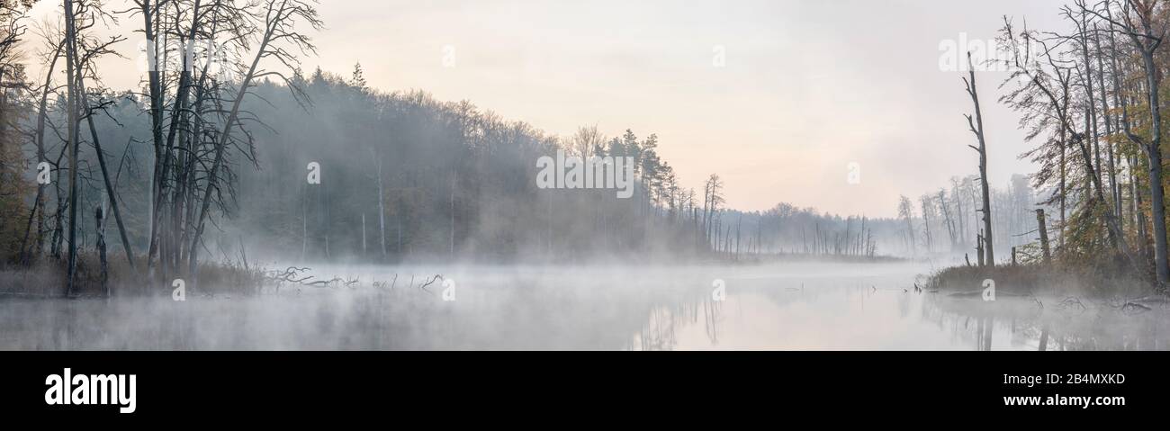 Deutschland, Mecklenburg-Vorpommern, Müritz-Nationalpark, Teilgebiet Serrahn, Morgennebel am Schweingartensee im Herbst, Panorama Stock Photo