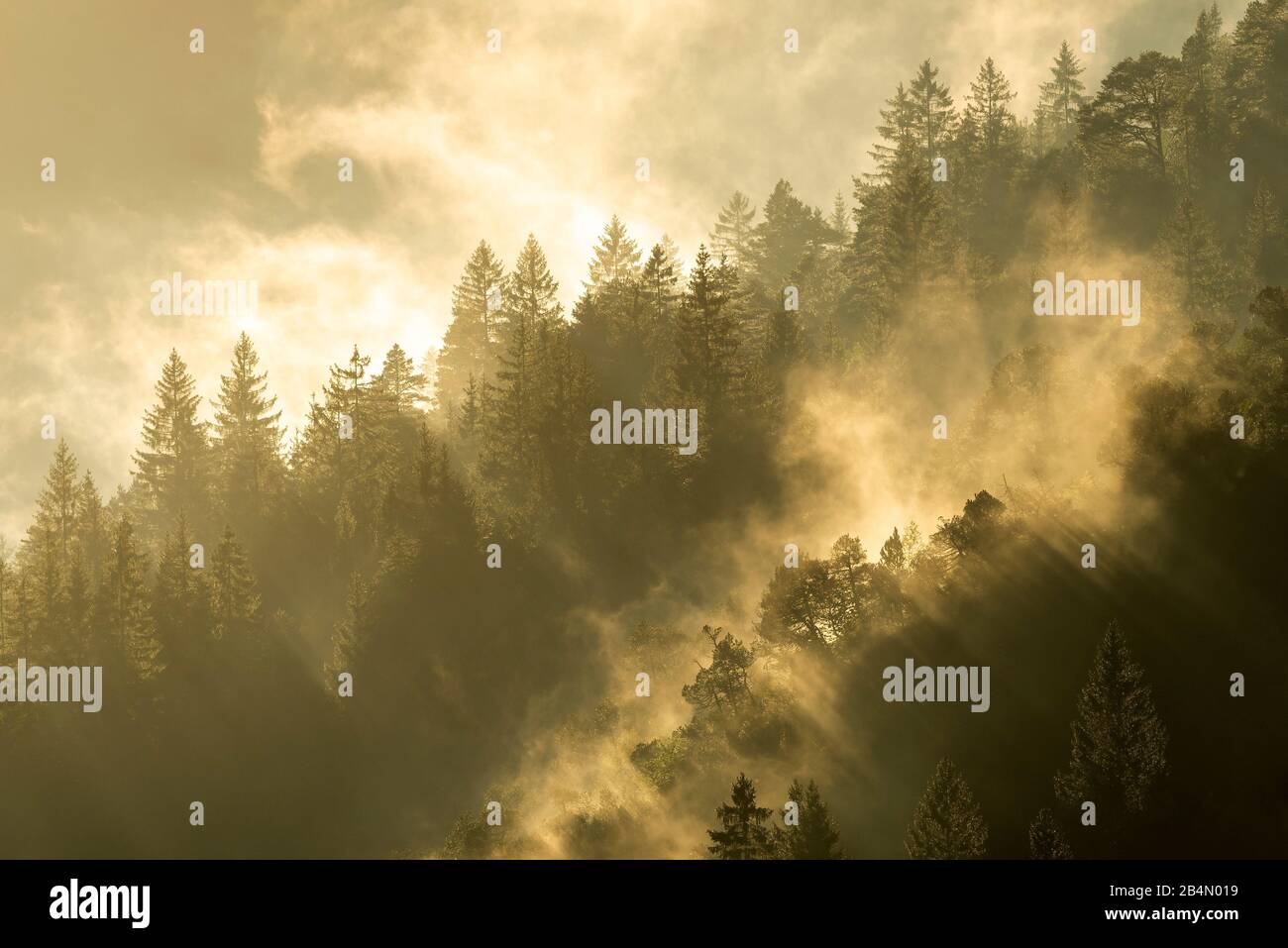 Foggy mood in the Karwendel during sunset Stock Photo