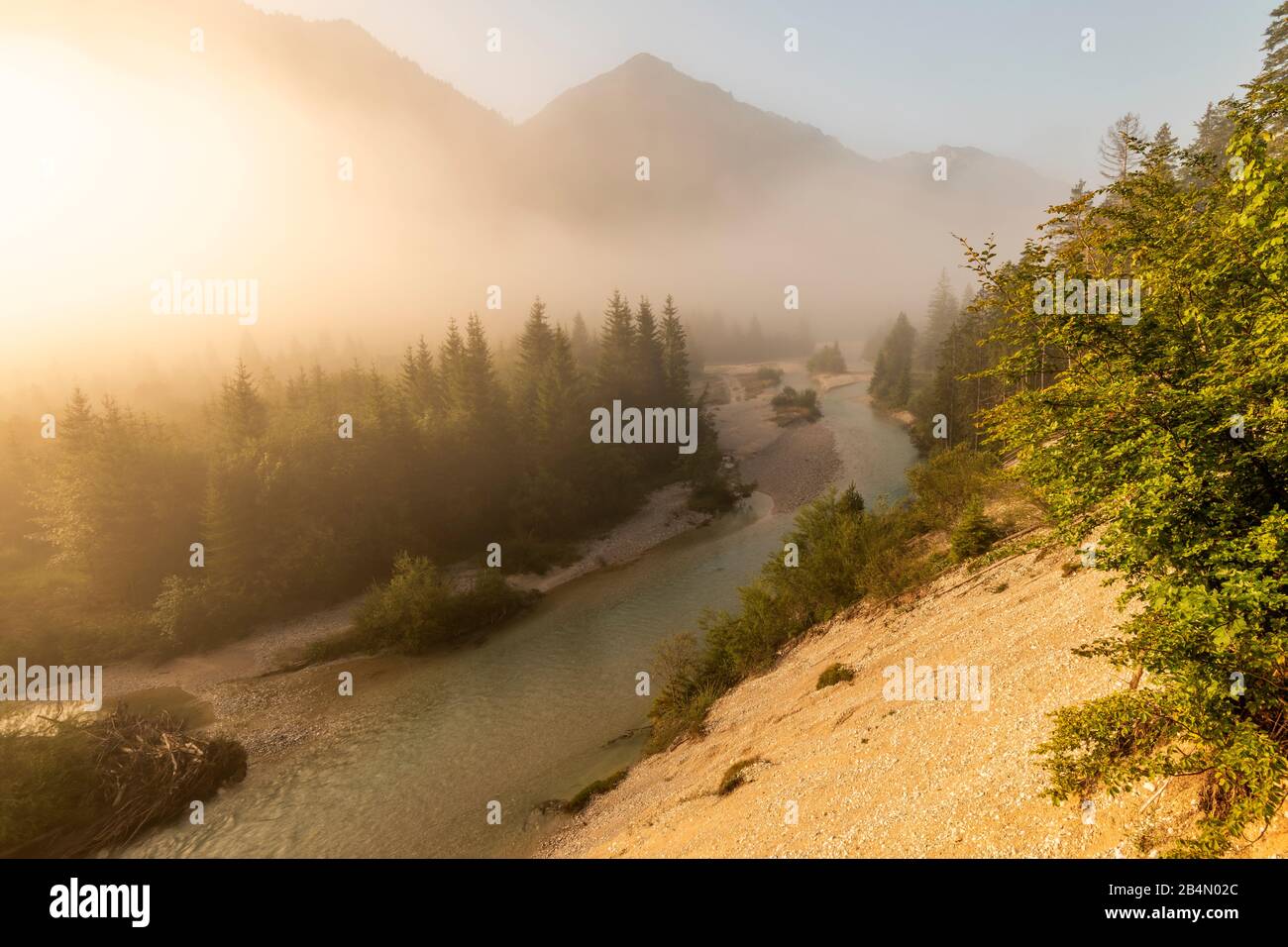 Woods and meadows in morning mood hi-res stock photography and images ...