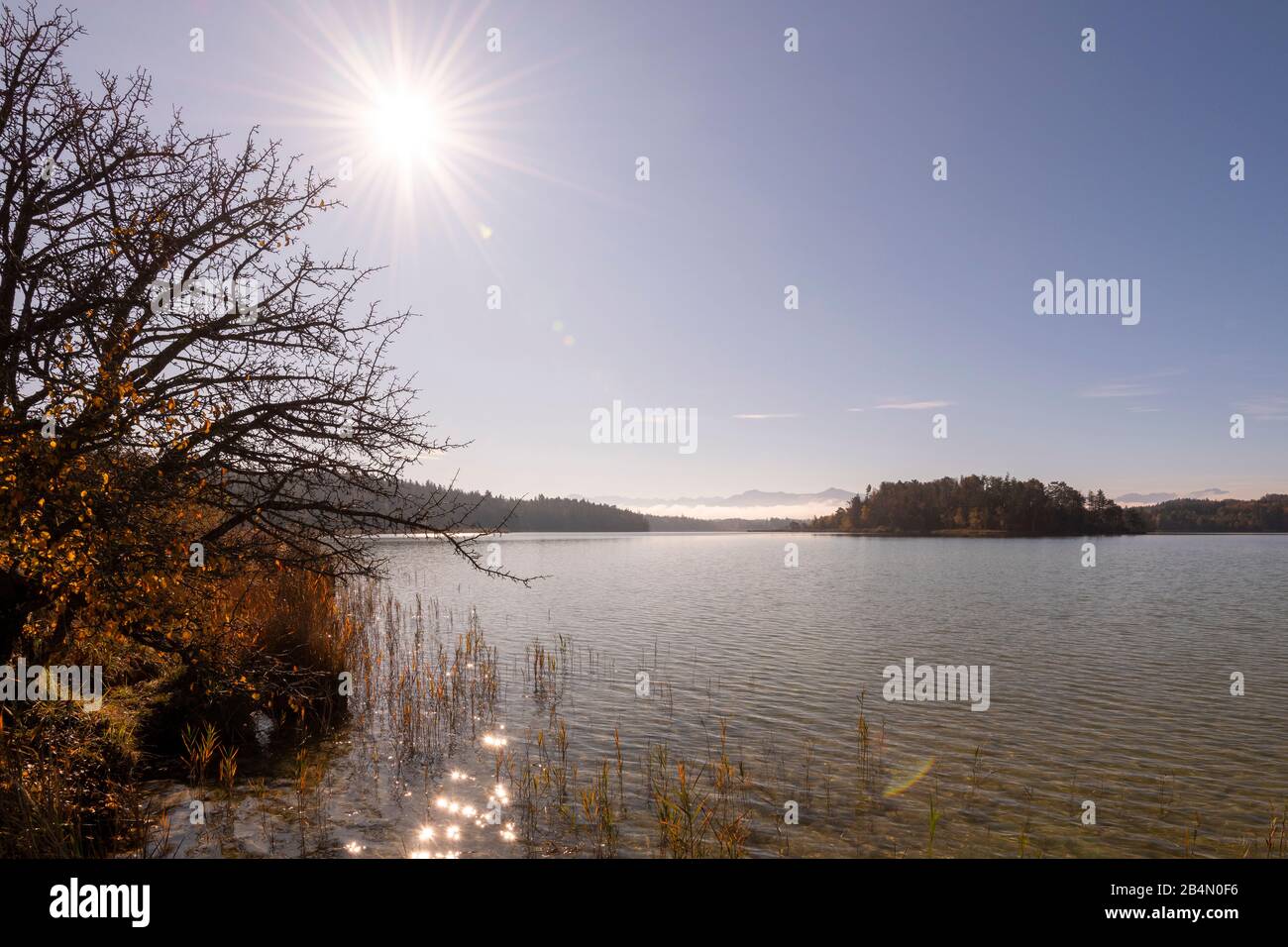 Sun star over the slightly rippled water surface of the Fohnsee, one of ...