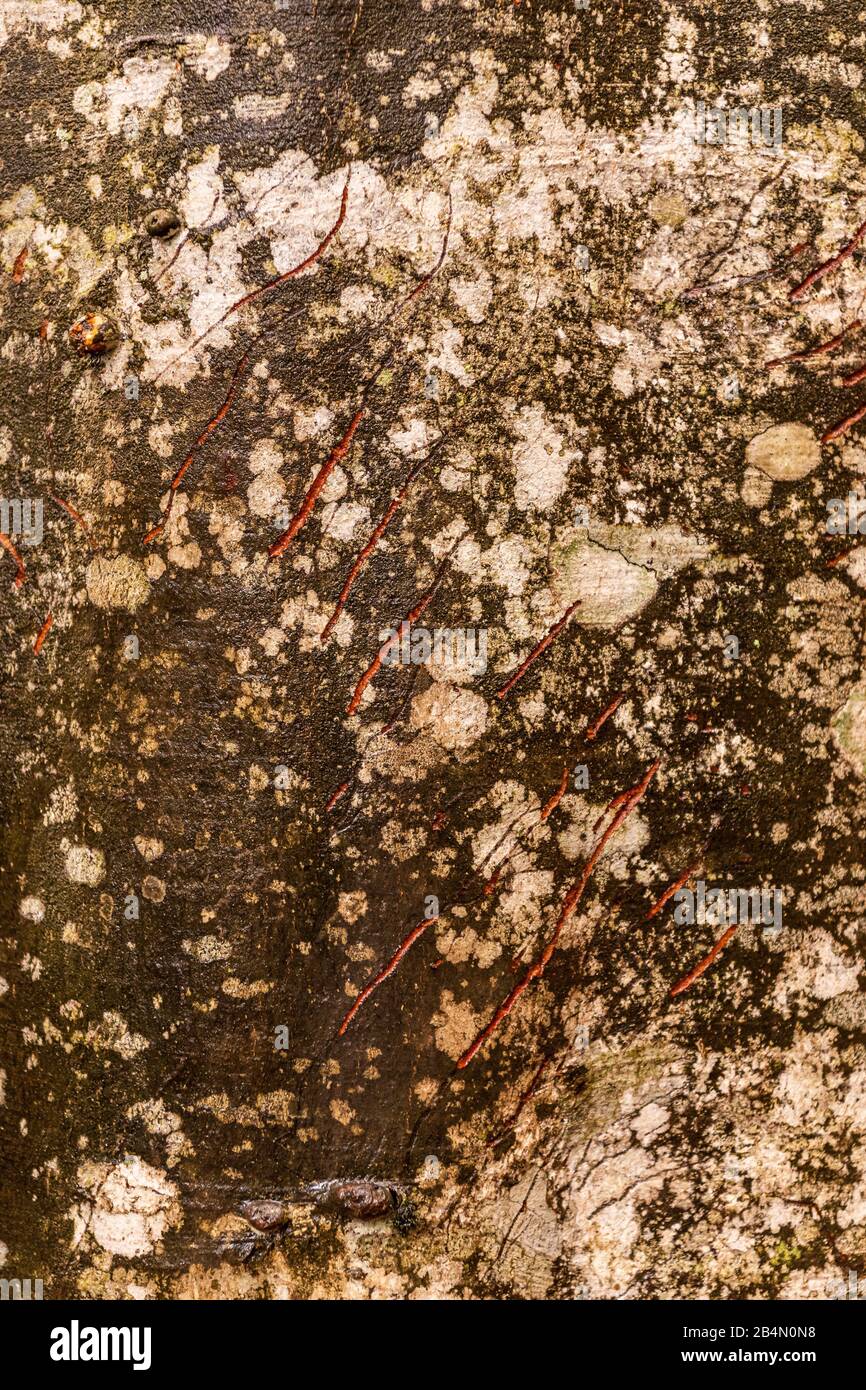 Scratch marks hi-res stock photography and images - Alamy