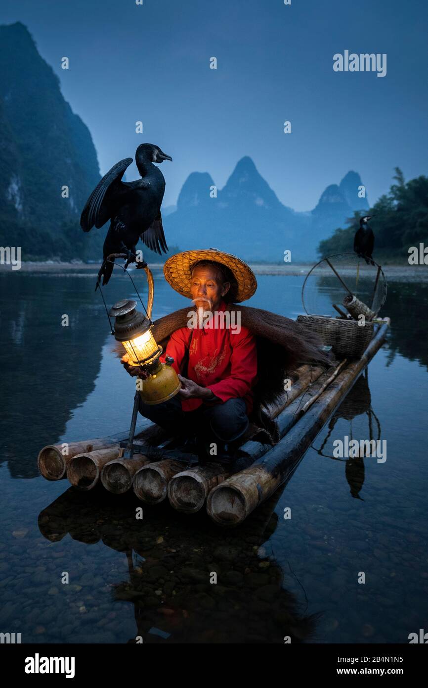 Traditioneller Komoran Fischer in Xingping (Guilin) in China (bezahltes Shooting - mündlich zur kommerziellen Verwertung zugestimmt, kein spezielles M Stock Photo