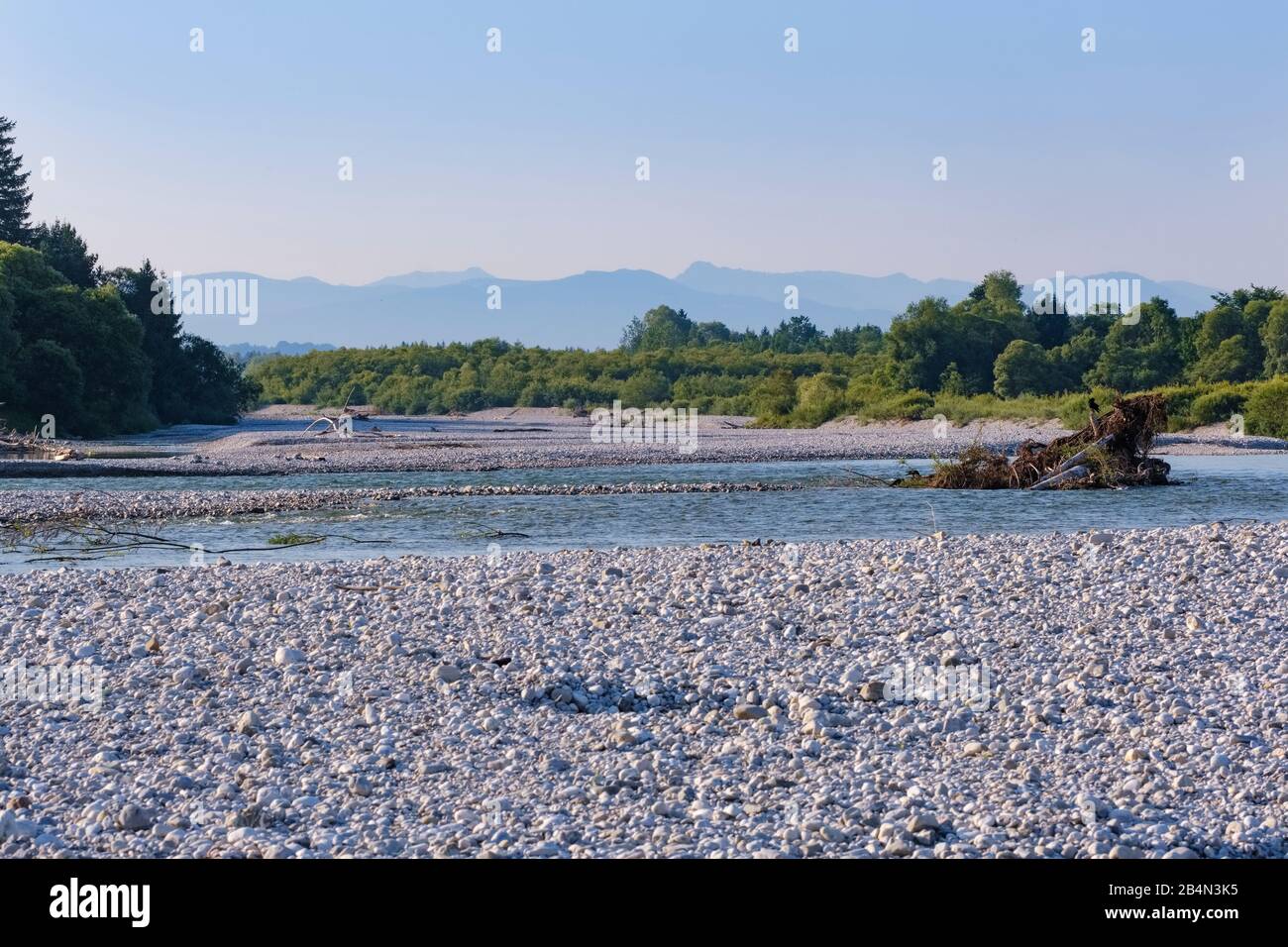 Isar with gravel banks, nature reserve Isarauen bei Geretsried, Bavaria, Germany Stock Photo