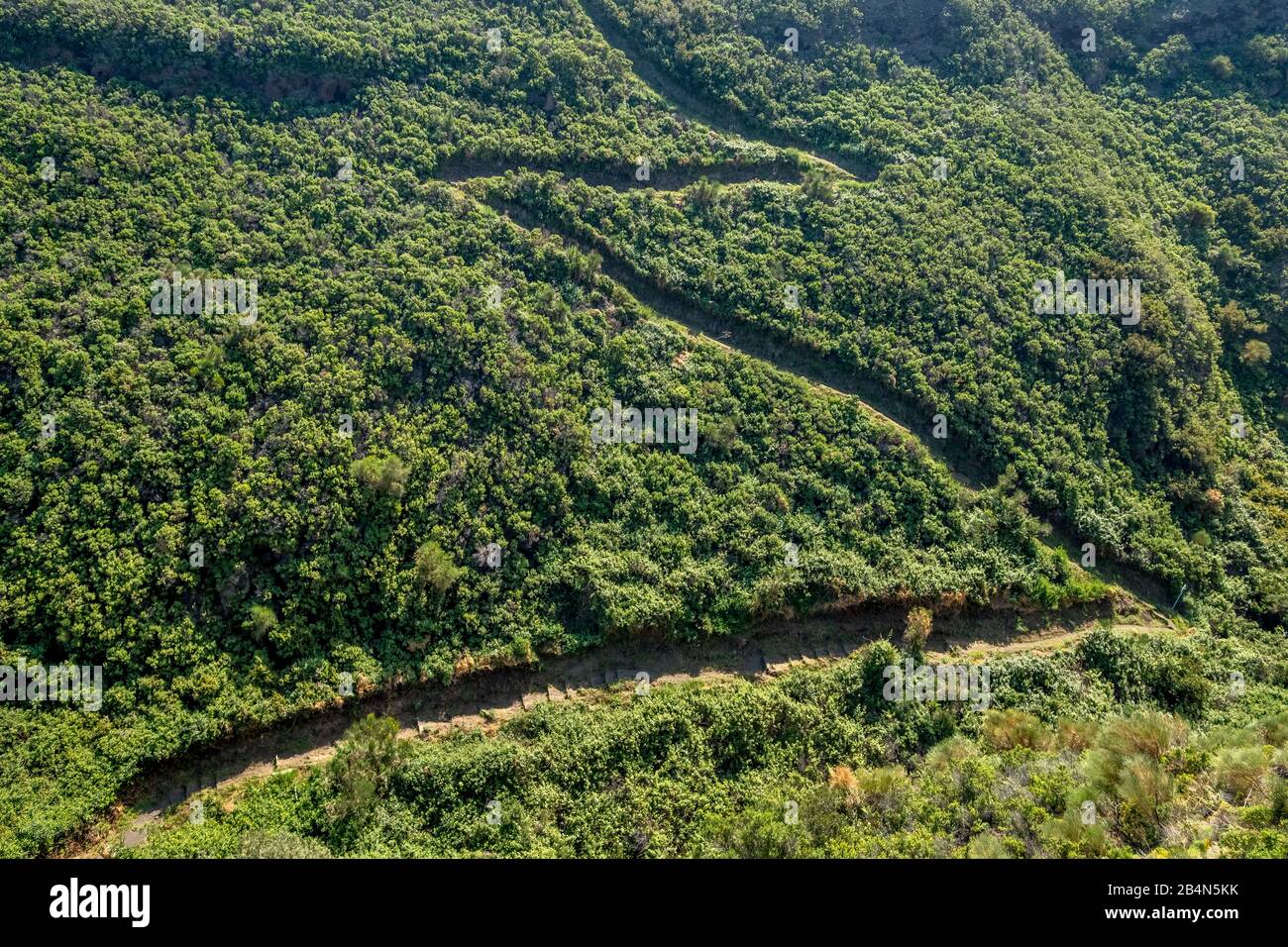 Stromboli volcano with forested hiking trail, Lipari, Aeolian Islands, Aeolian Islands, Tyrrhenian Sea, Southern Italy, Europe, Sicily, Italy Stock Photo