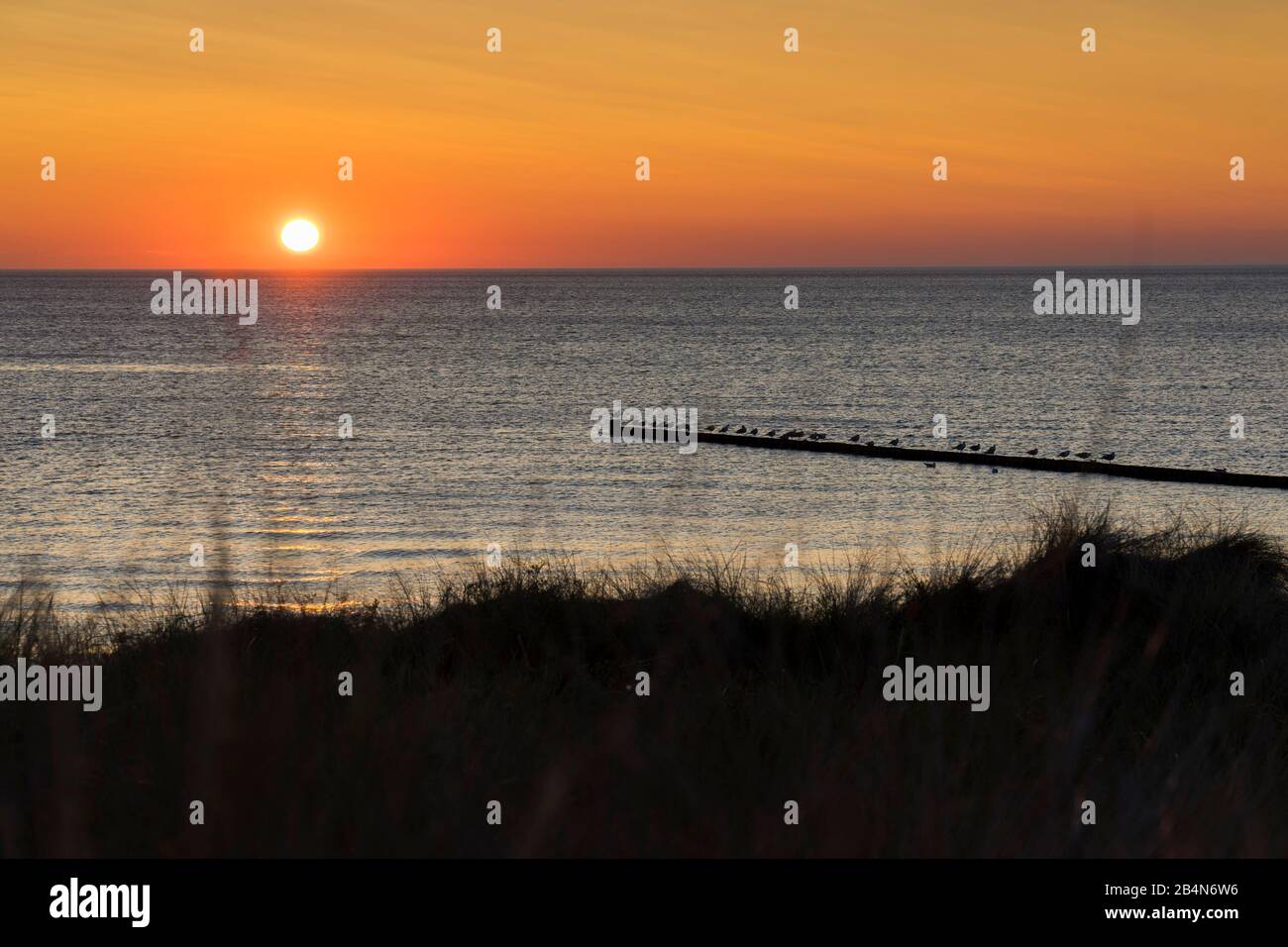 Baltic Sea with golden yellow beach grass in the sunlight, summer on the Baltic Sea and grasses on the beach, beautiful clouds on the beach of the Baltic Sea, long shadow of the beach grass on the dune Stock Photo