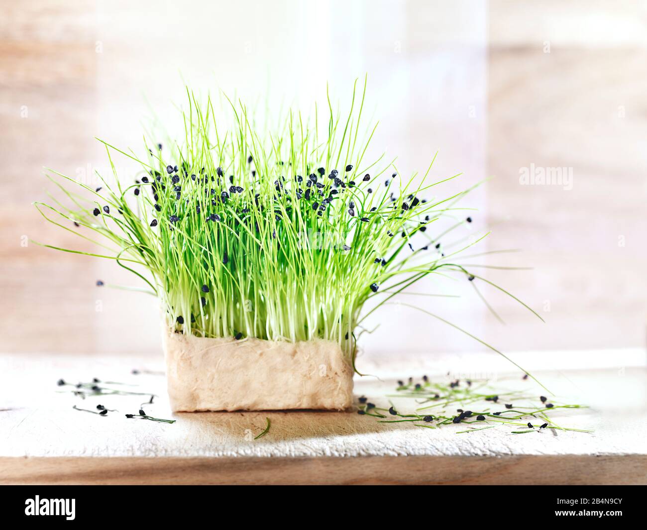 cress Rock Chives Stock Photo