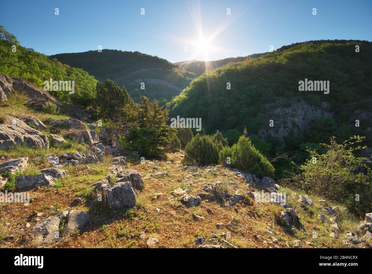 Beautiful daylight hi-res stock photography and images - Alamy