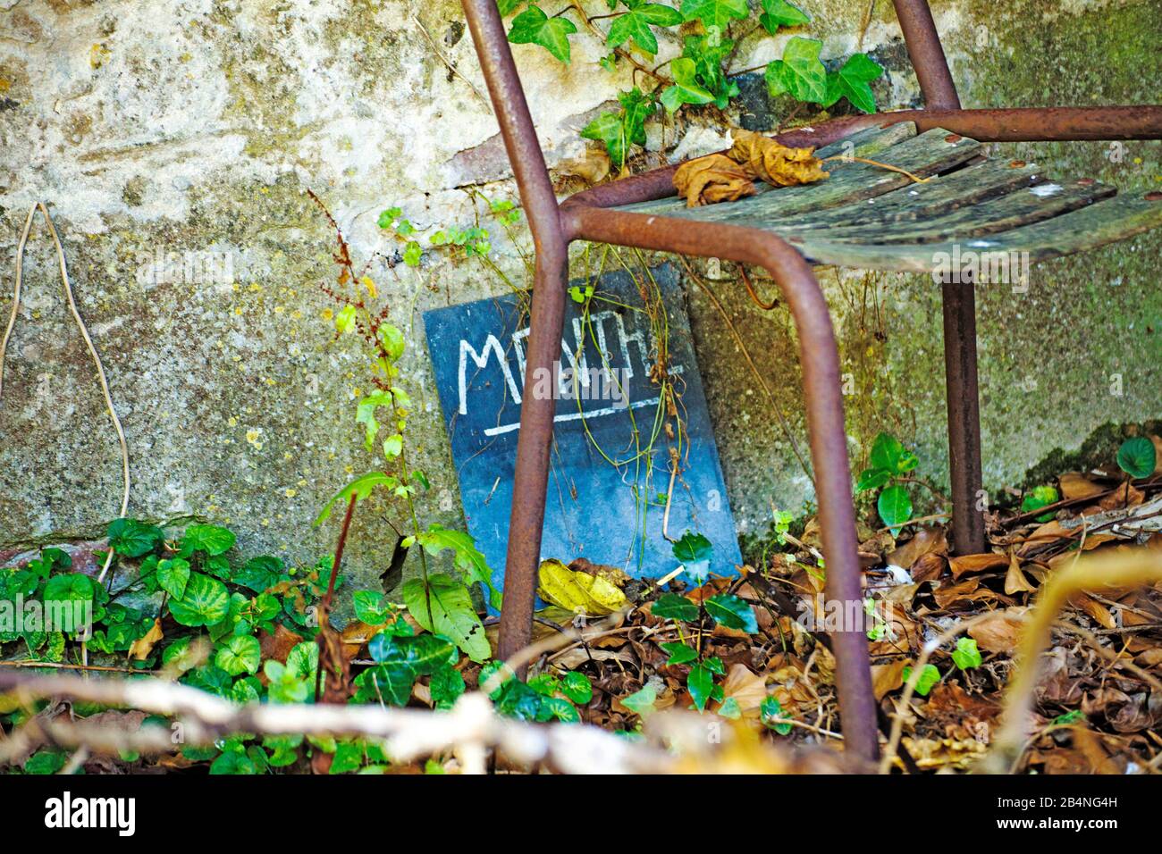 Poor milieu in the former herb garden. Beaumont-en-Auge in the Calvados department in the Normandy region Stock Photo