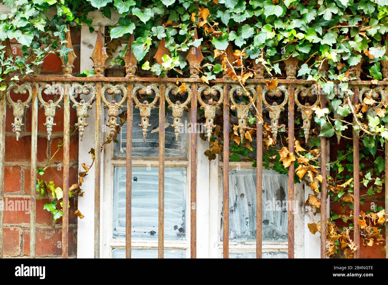 Rusty railing with ivy arrowheads overgrown in front of painted window panes. Tréguier is a French city in the Côtes-d'Armor department in Brittany. Tréguier is the historic capital of the Trégor. Stock Photo