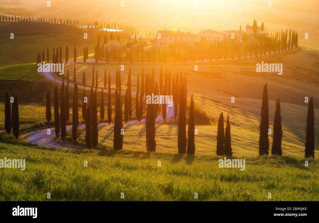 Hilly landscape, Agriturismo Baccoleno, Crete Senesi, Tuscany, Italy, sunset behind the country house, warm back light Stock Photo